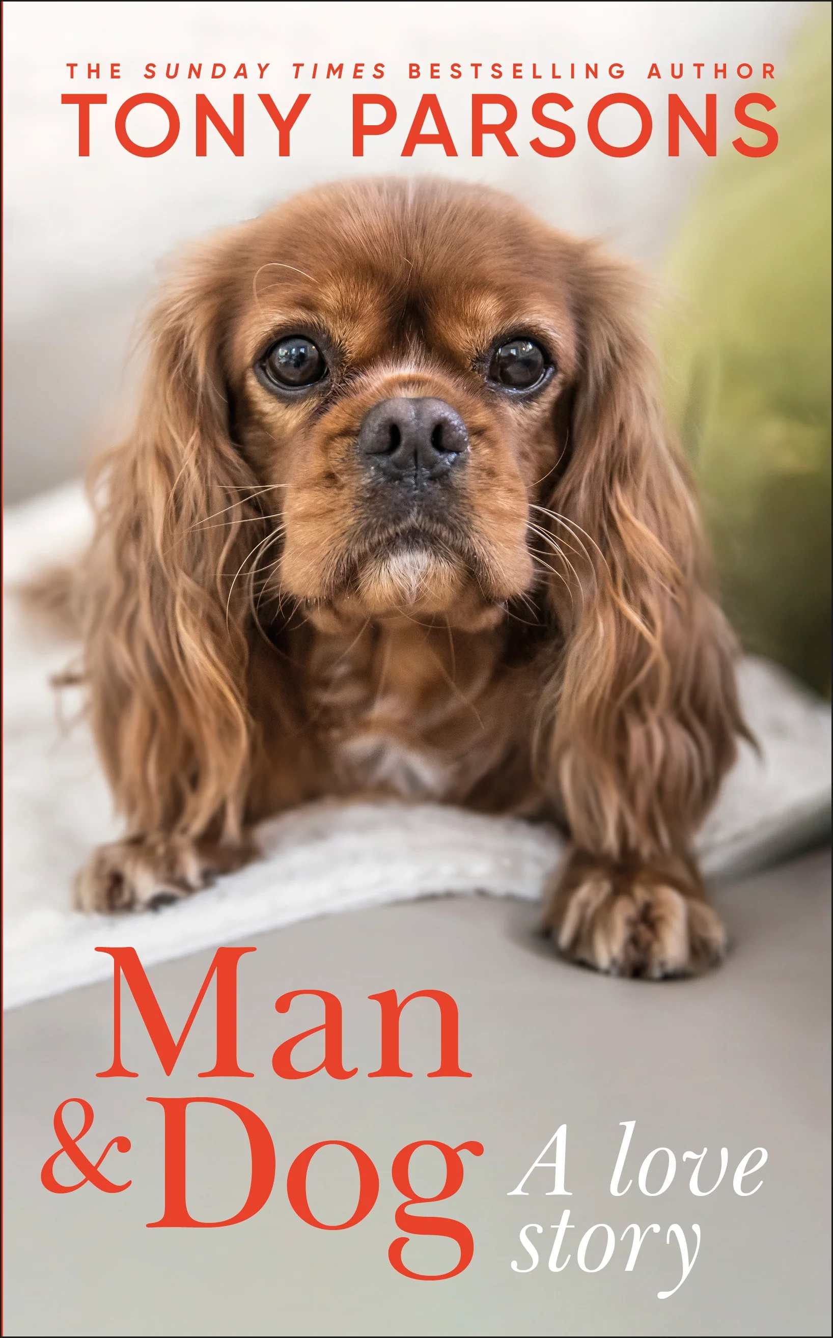 Man & Dog