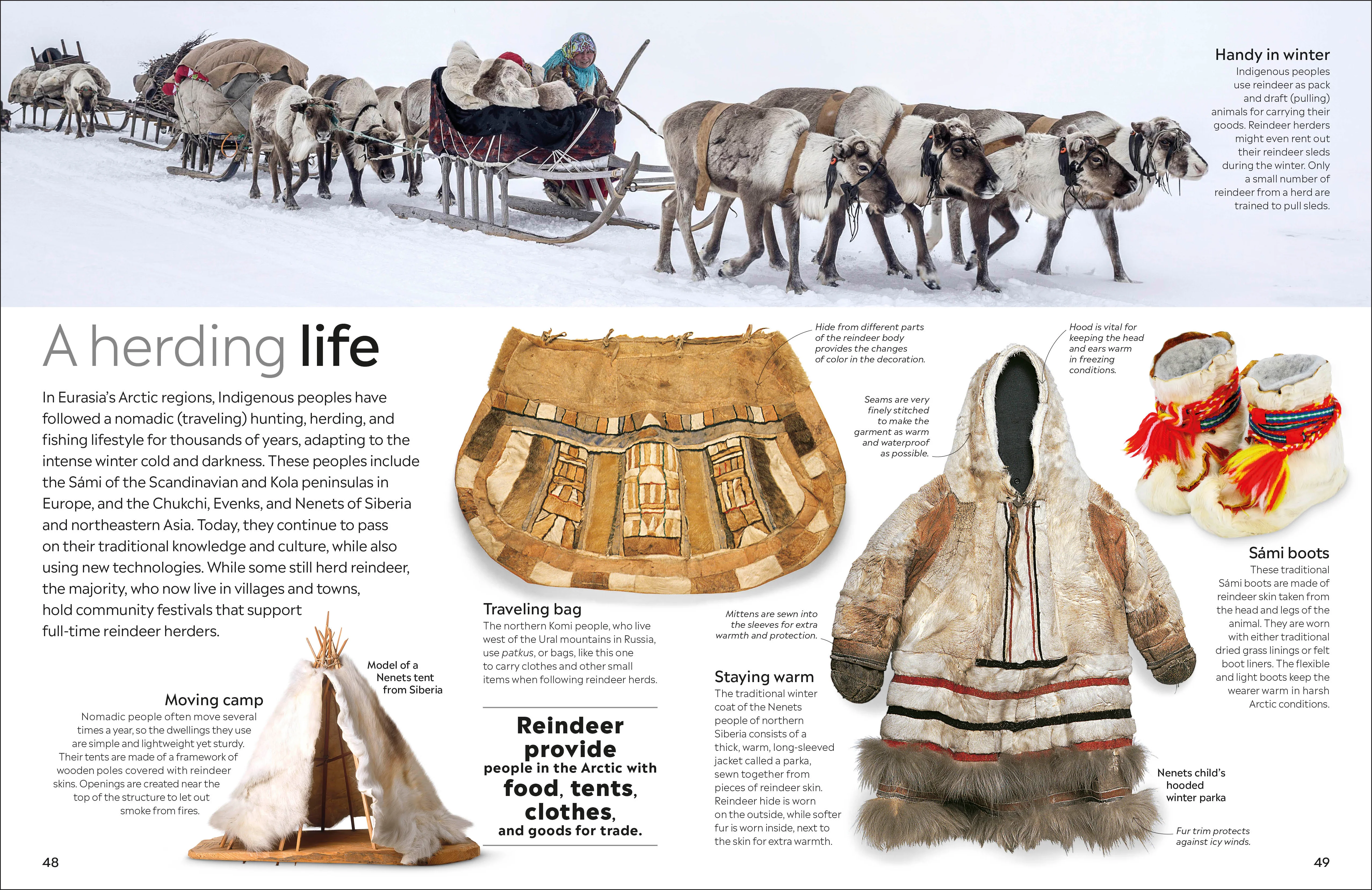 Arctic and Antarctic - Image 6