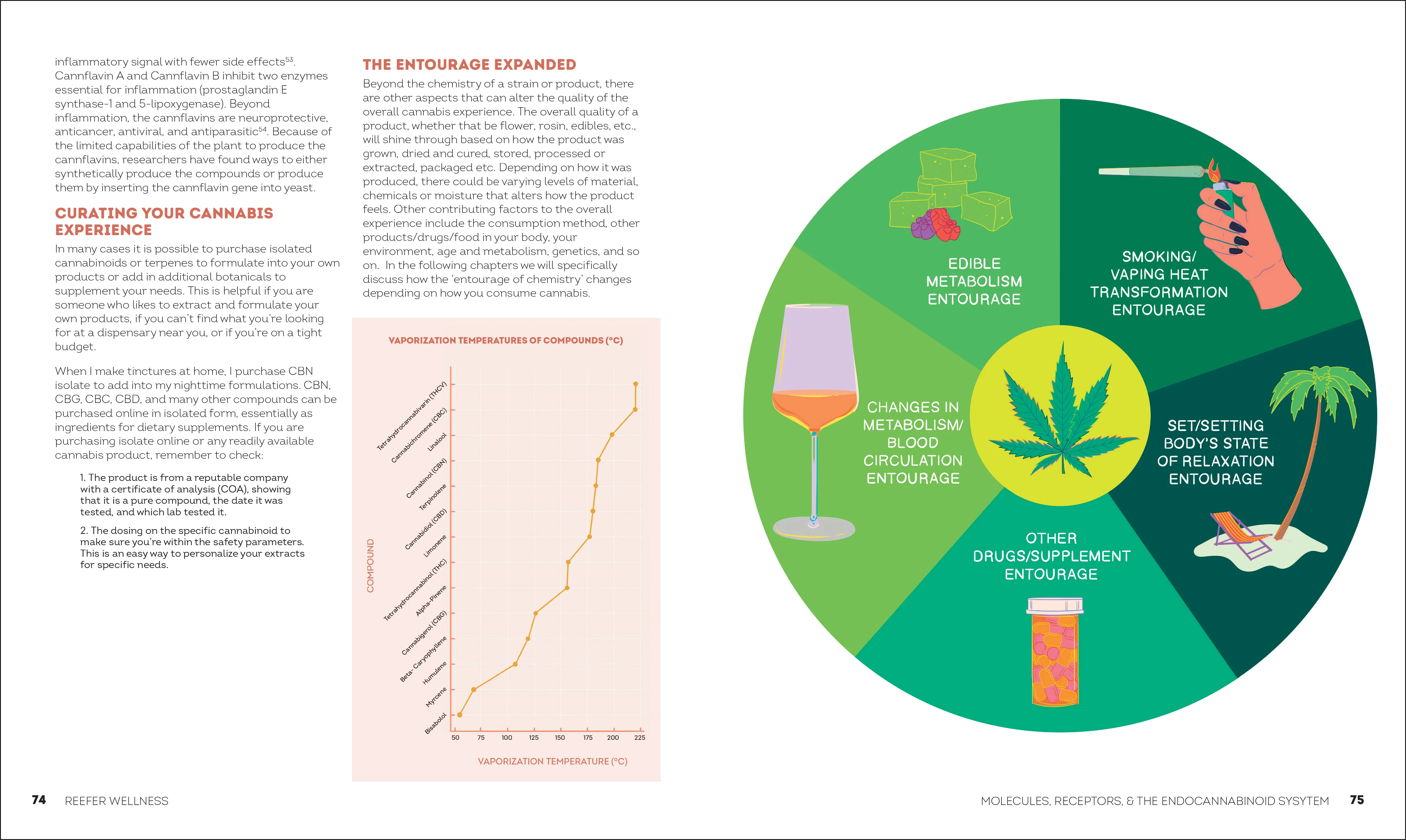 Reefer Wellness - Image 2