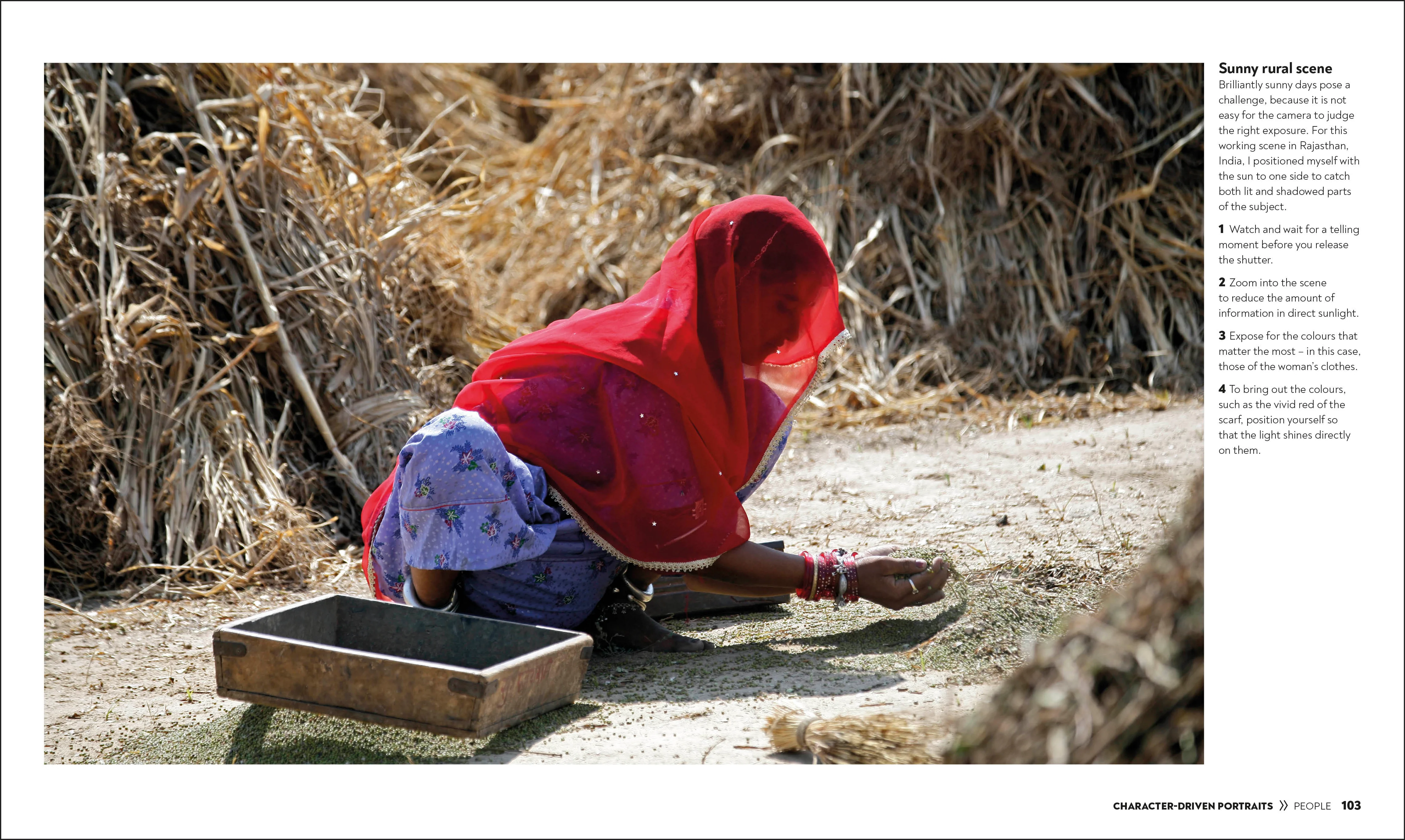 How to Photograph Absolutely Everything - Image 6