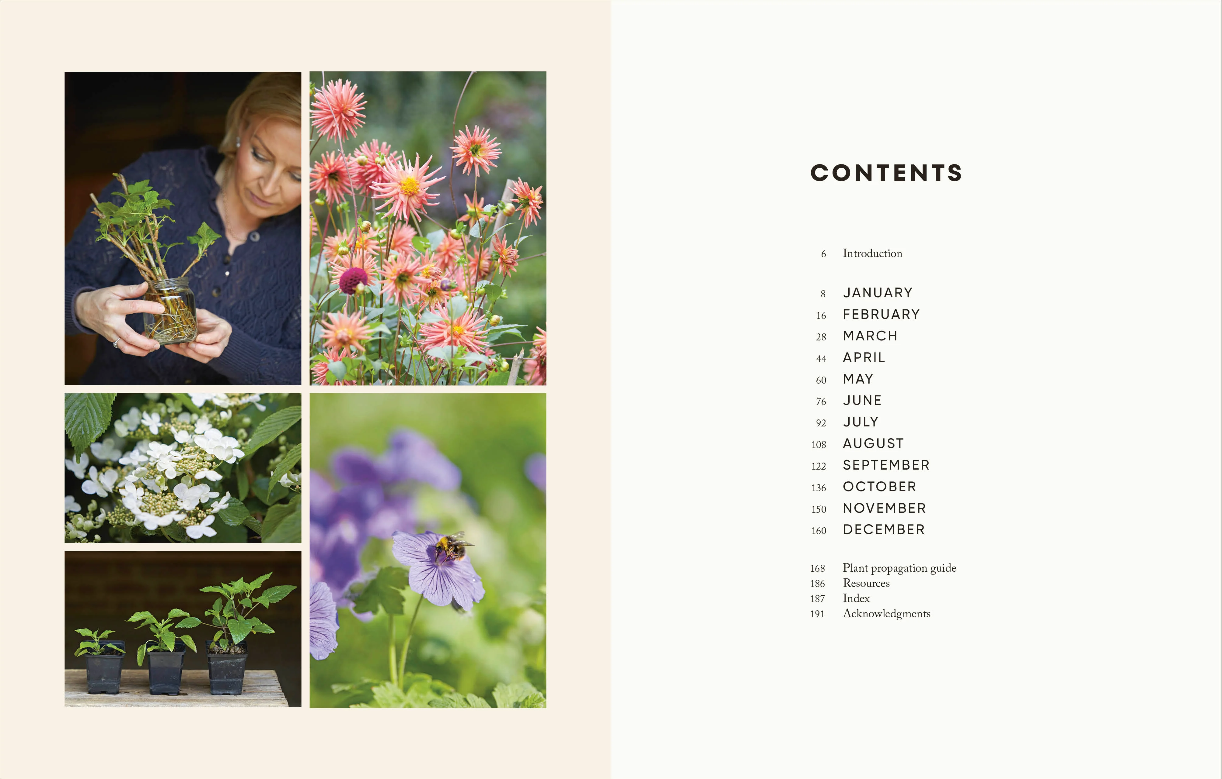 The Money-Saving Garden Year - Image 2