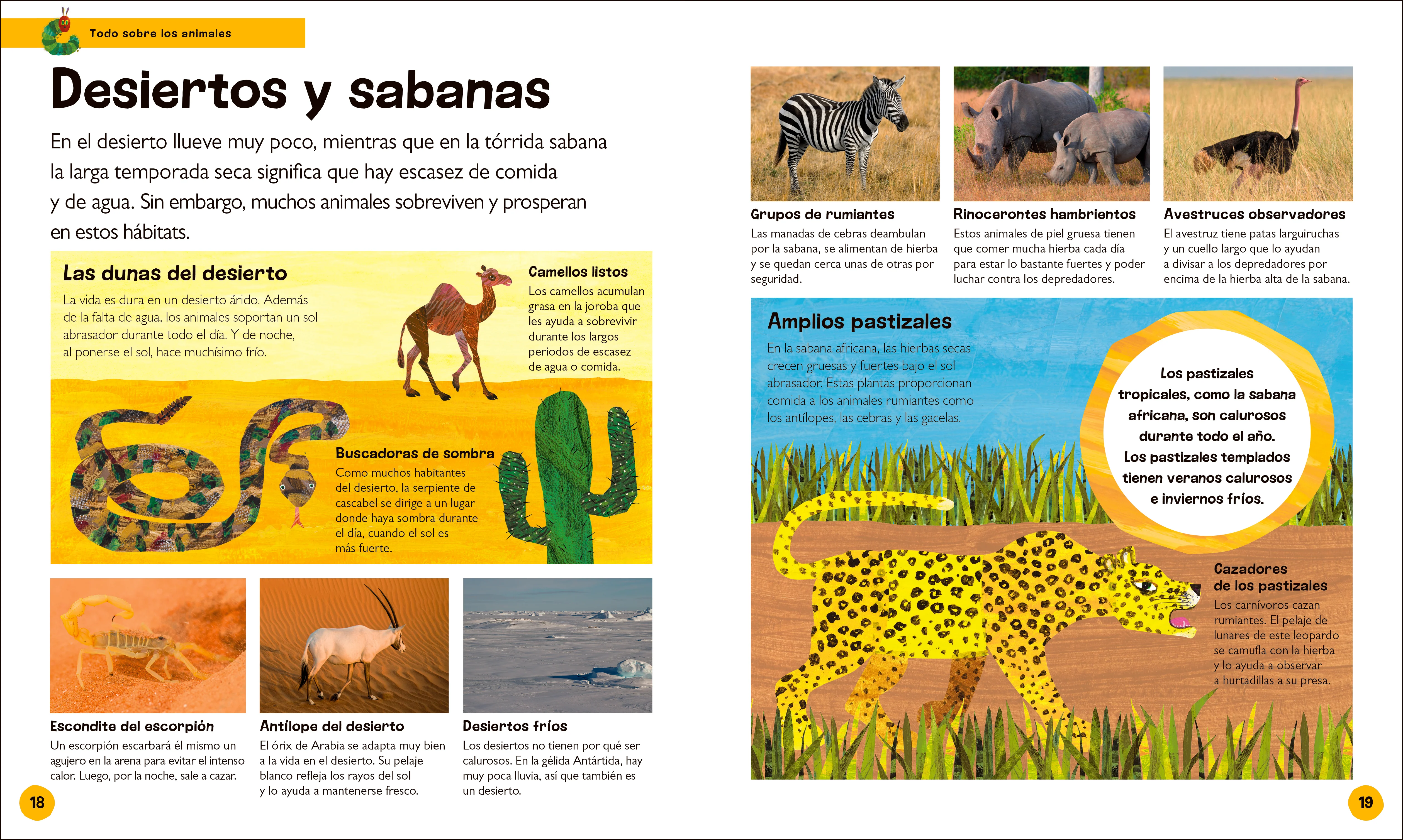 La oruga muy hambrienta Mi primera enciclopedia de animales (The Very Hungry Caterpillar's Very First Animal Encyclopedia) - Image 2