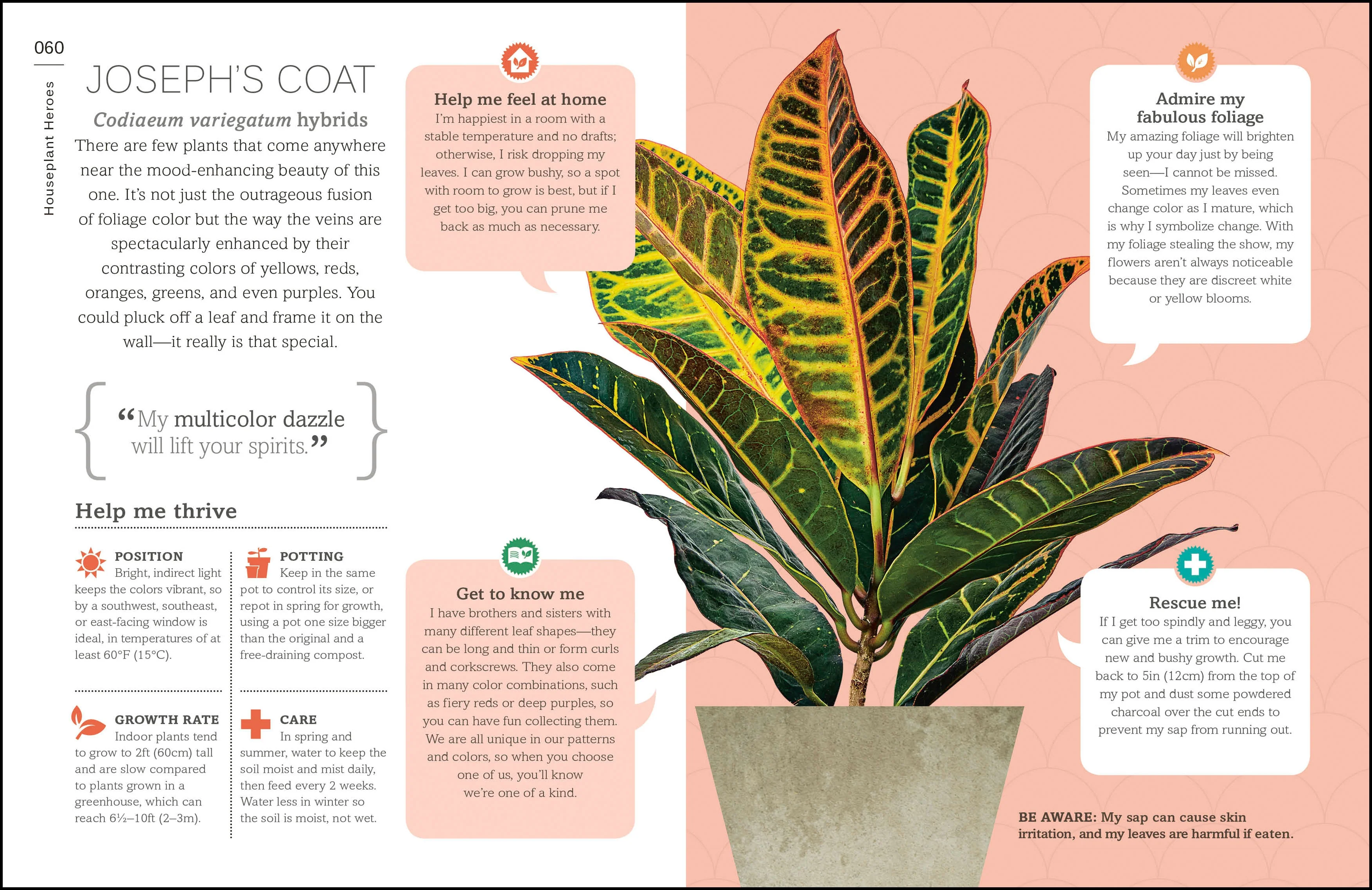 My Houseplant Changed My Life - Image 4