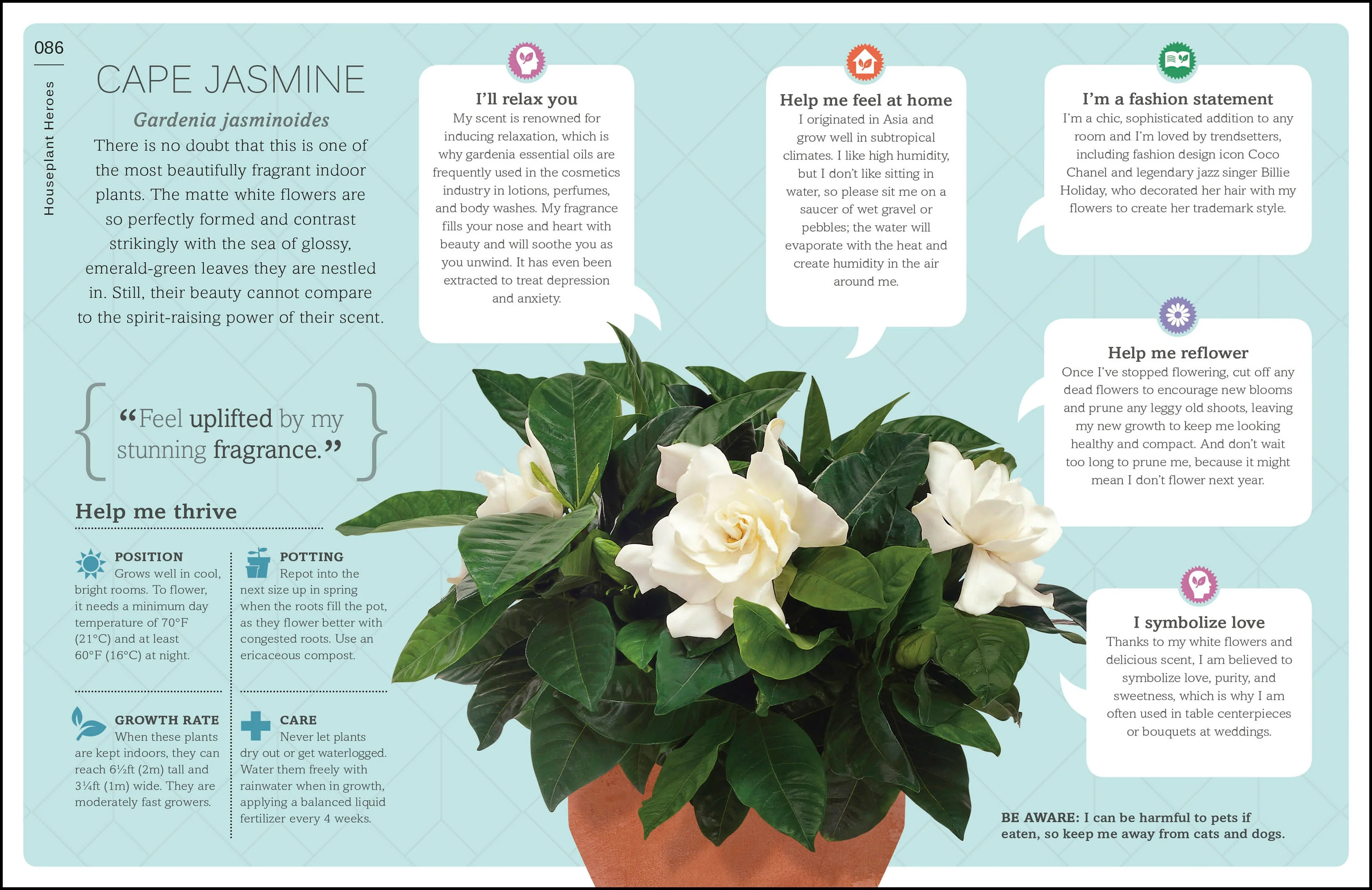 My Houseplant Changed My Life - Image 5