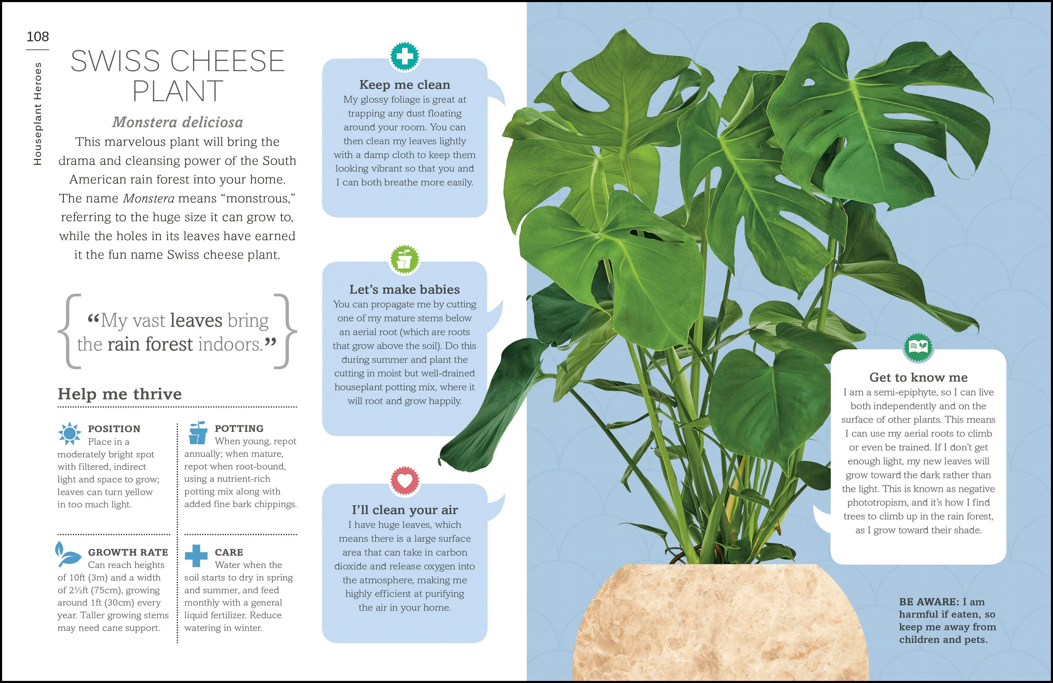 My Houseplant Changed My Life - Image 6