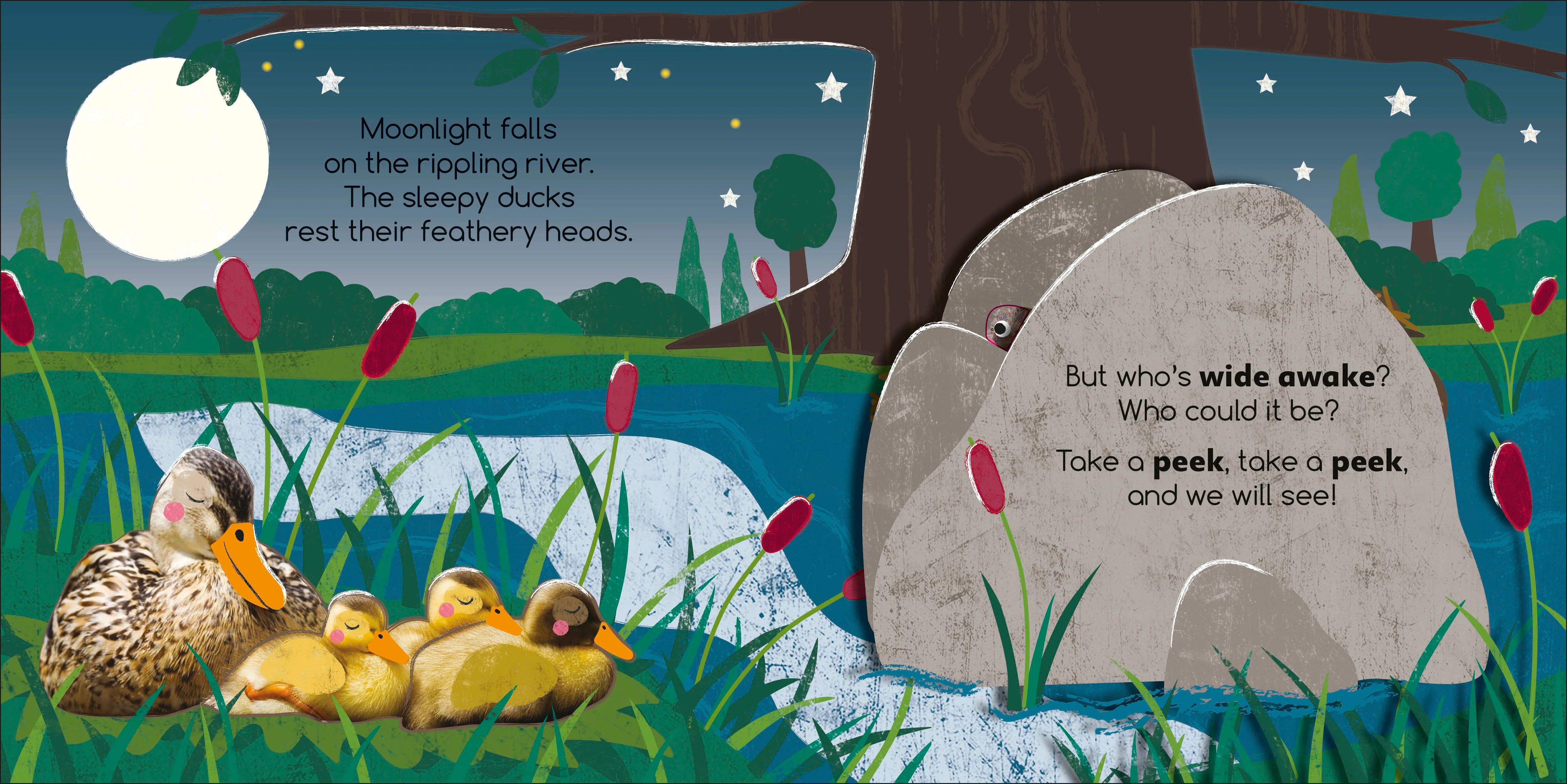 Flip Flap Find! Night-time Animals - Image 3