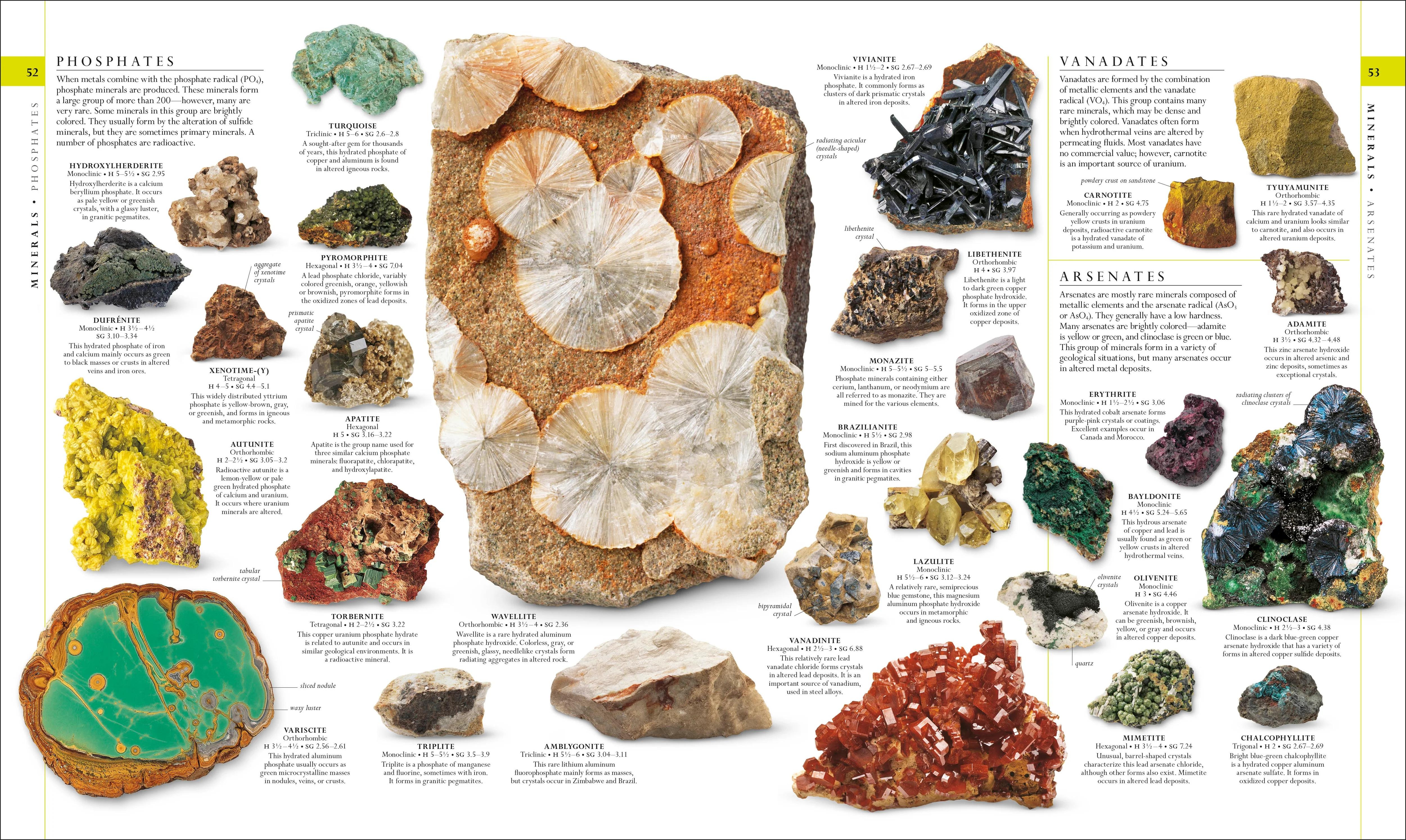Natural History - Image 2