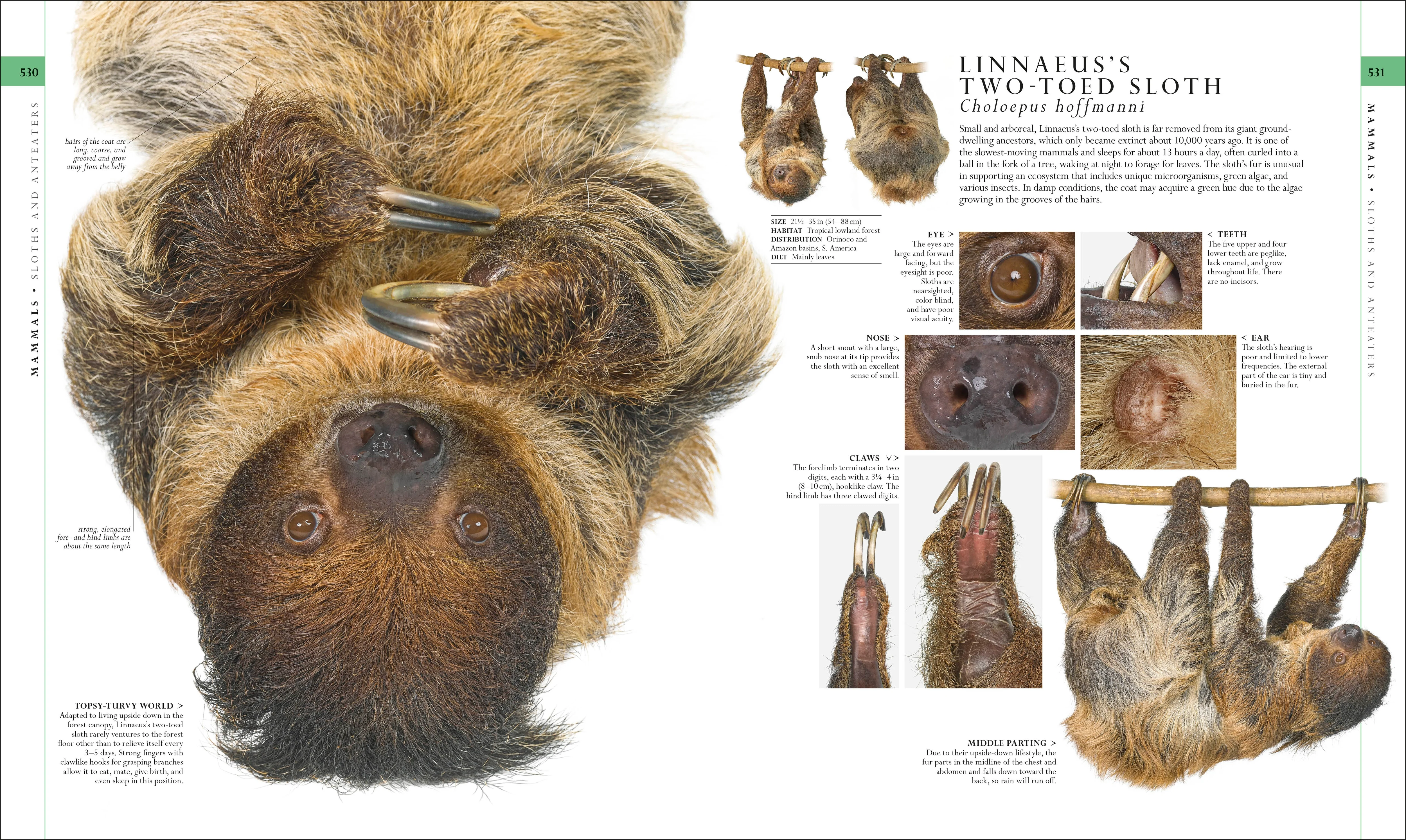 Natural History - Image 7