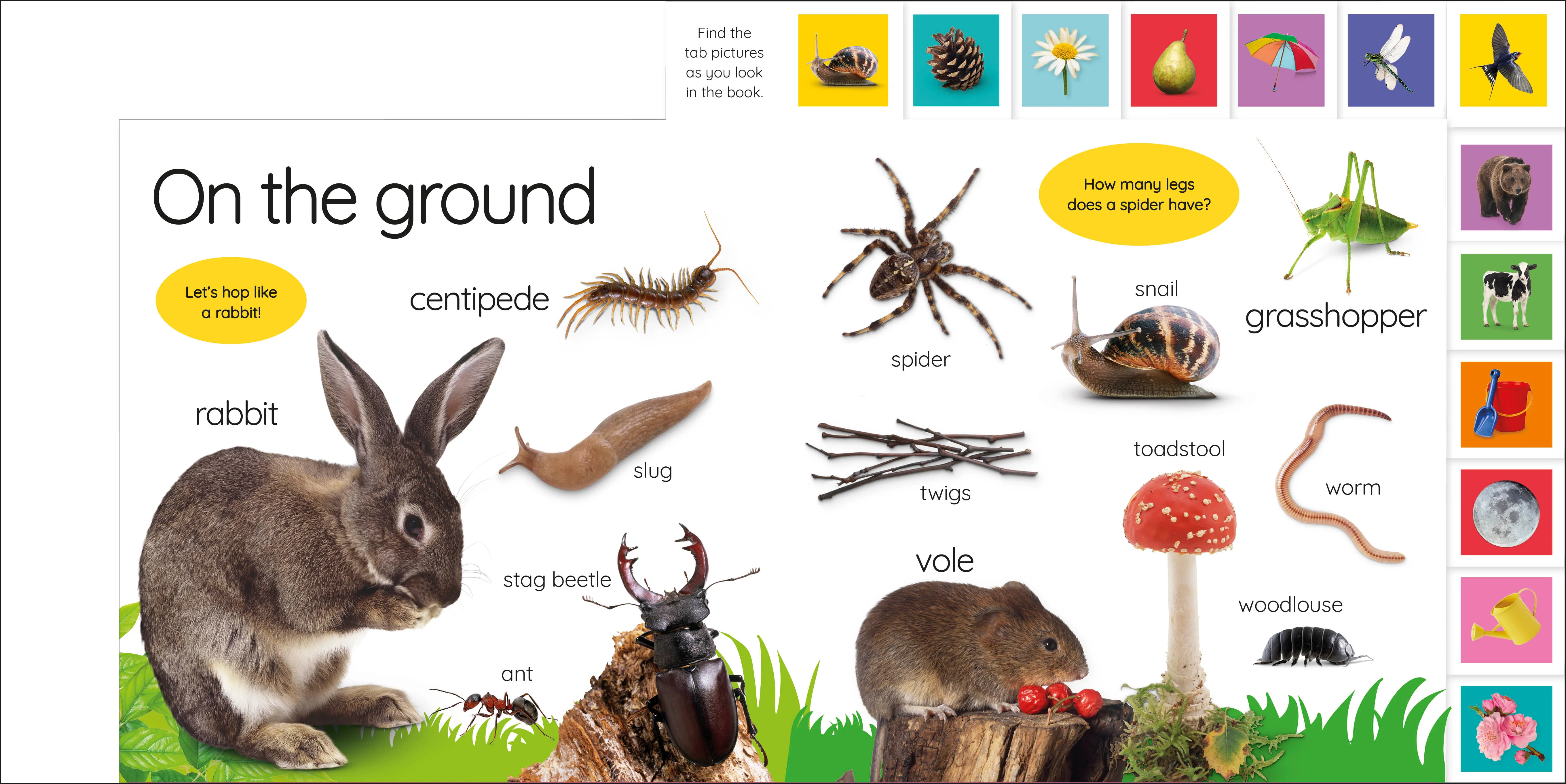 My First Nature: Let's Go Exploring! - Image 5