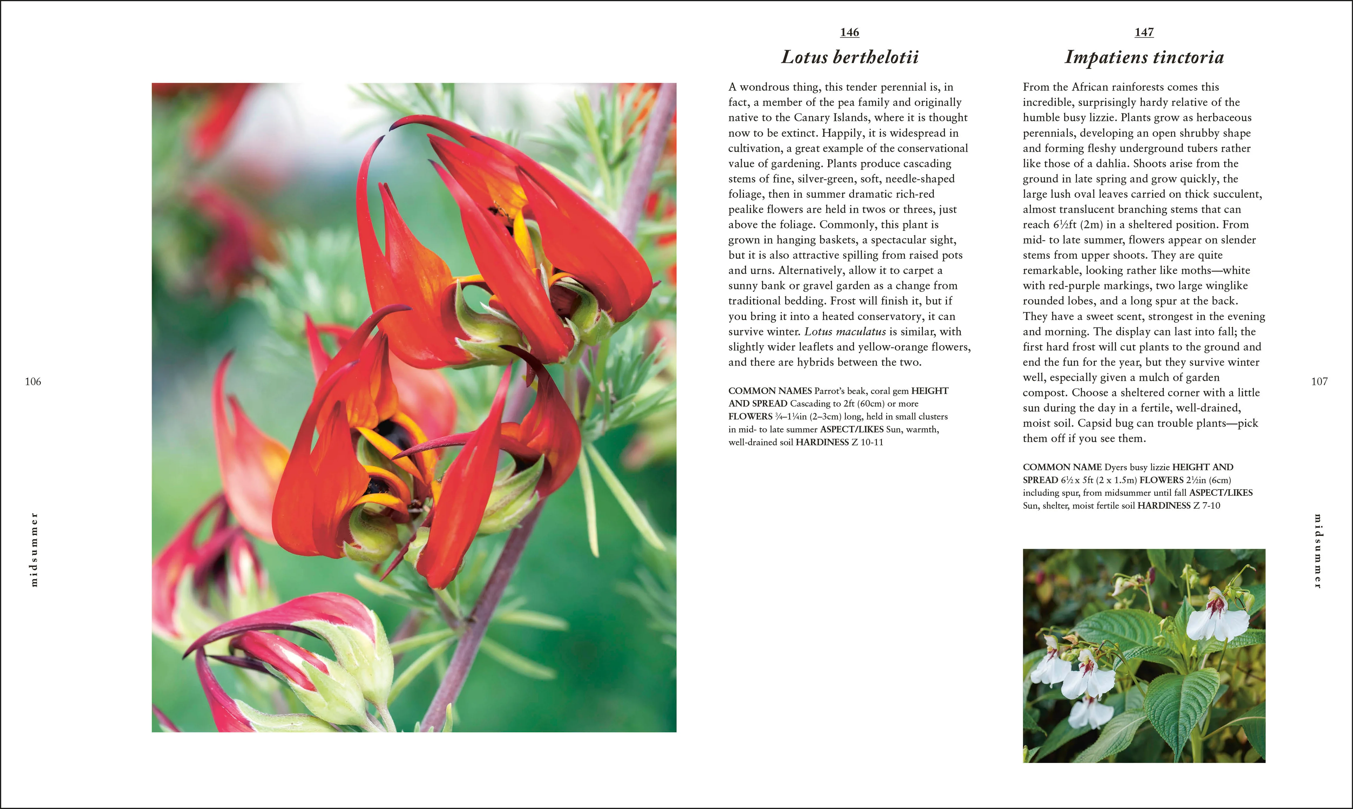 A Plant for Every Day of the Year - Image 5