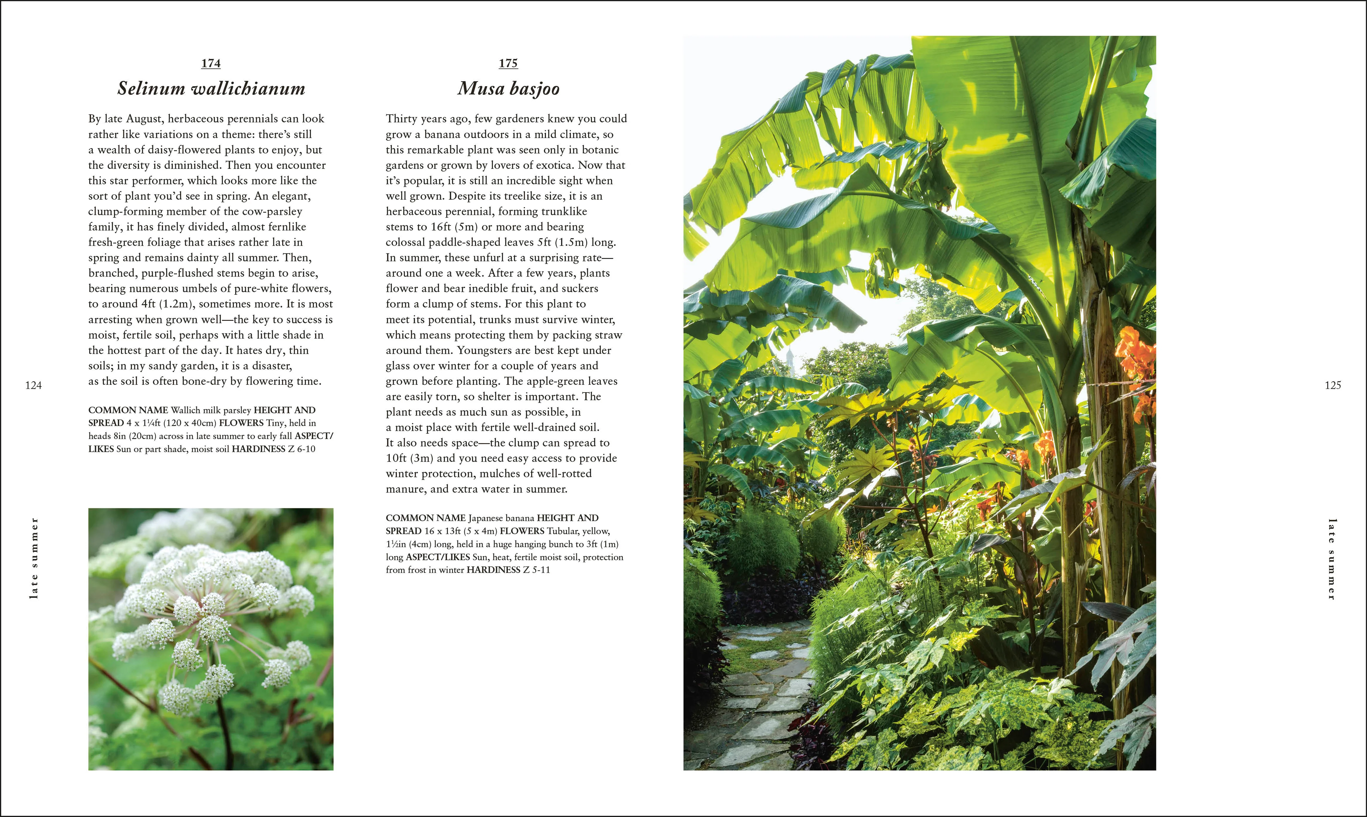 A Plant for Every Day of the Year - Image 6