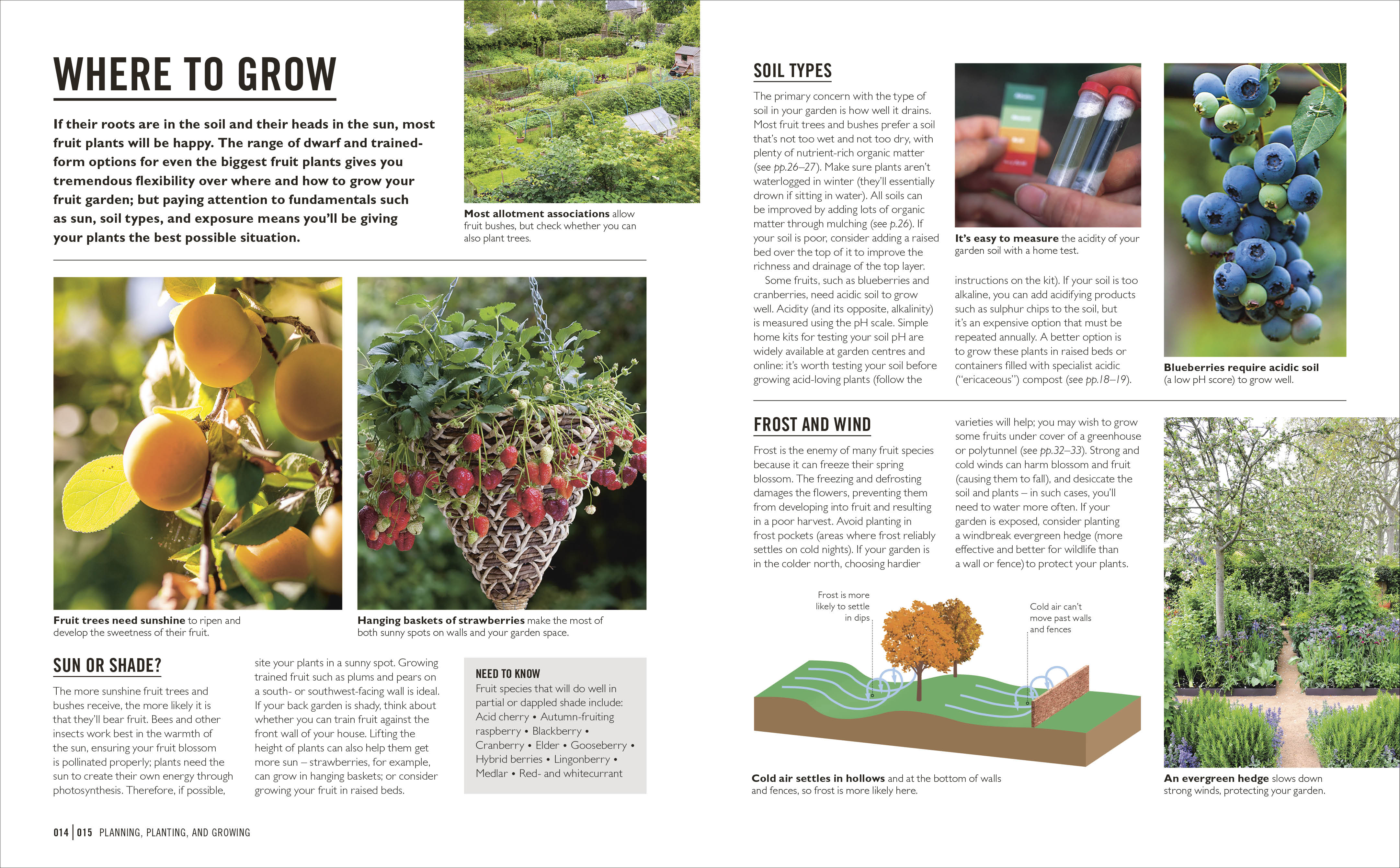 Grow Fruit - Image 8