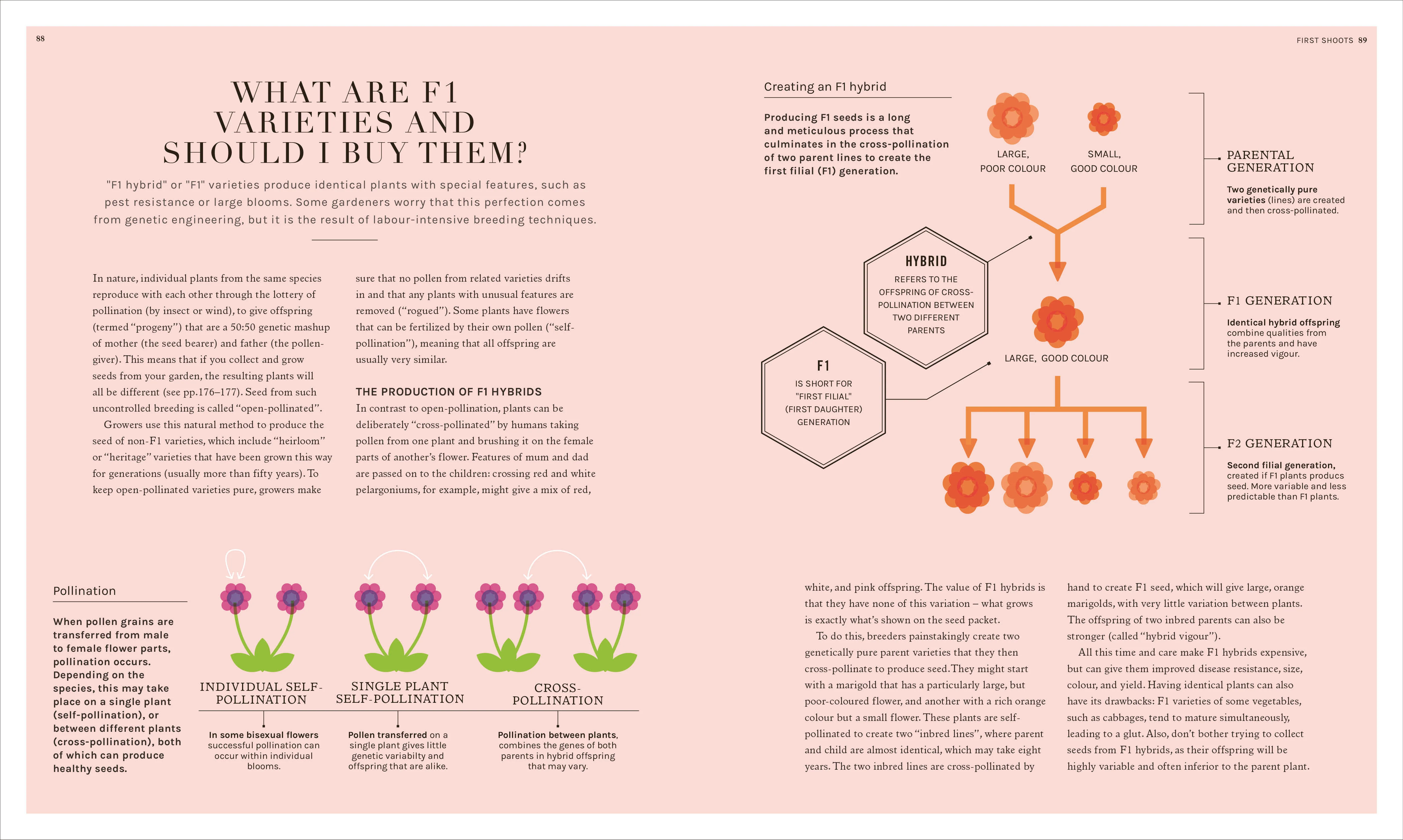 The Science of Gardening - Image 12