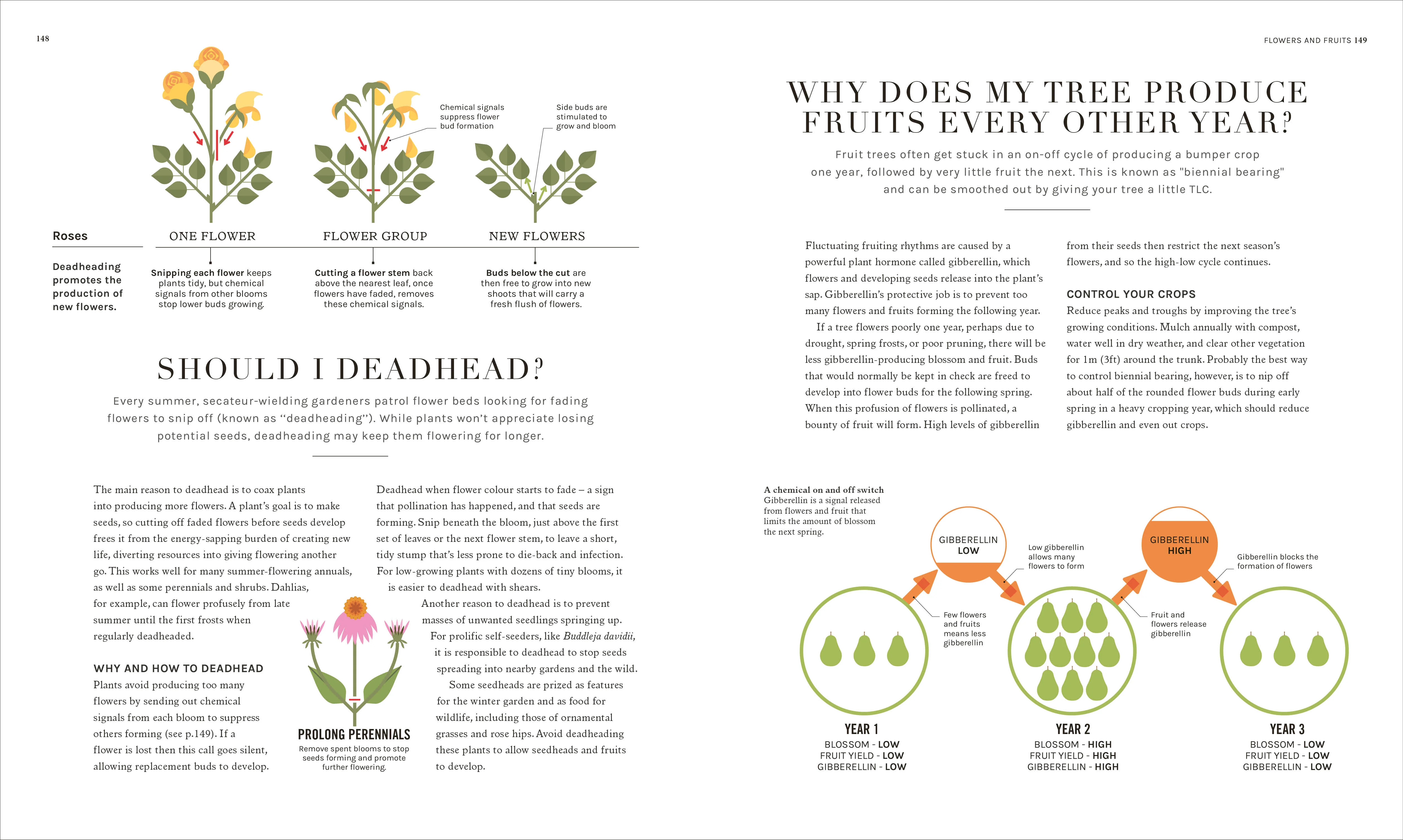 The Science of Gardening - Image 13
