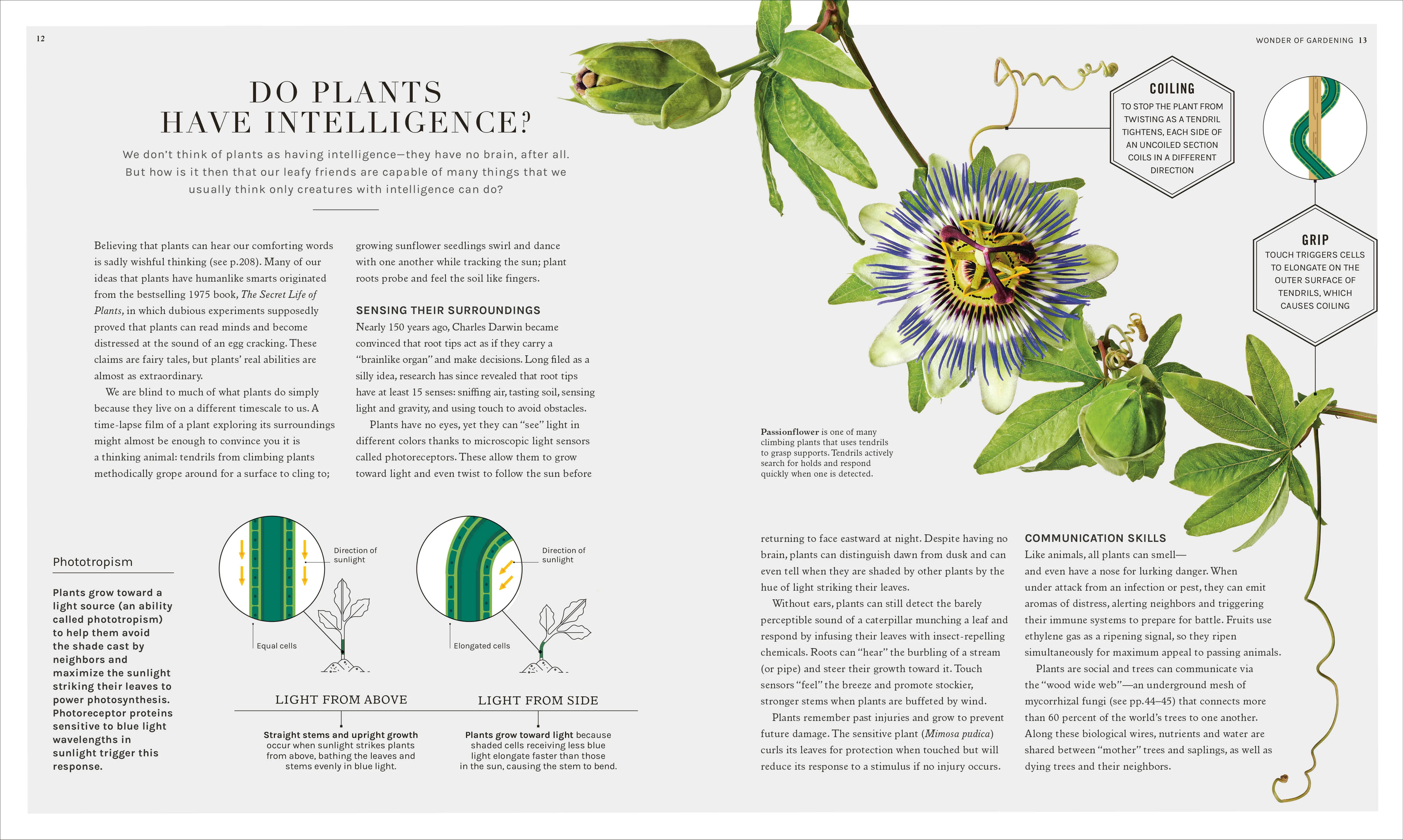 The Science of Gardening - Image 4