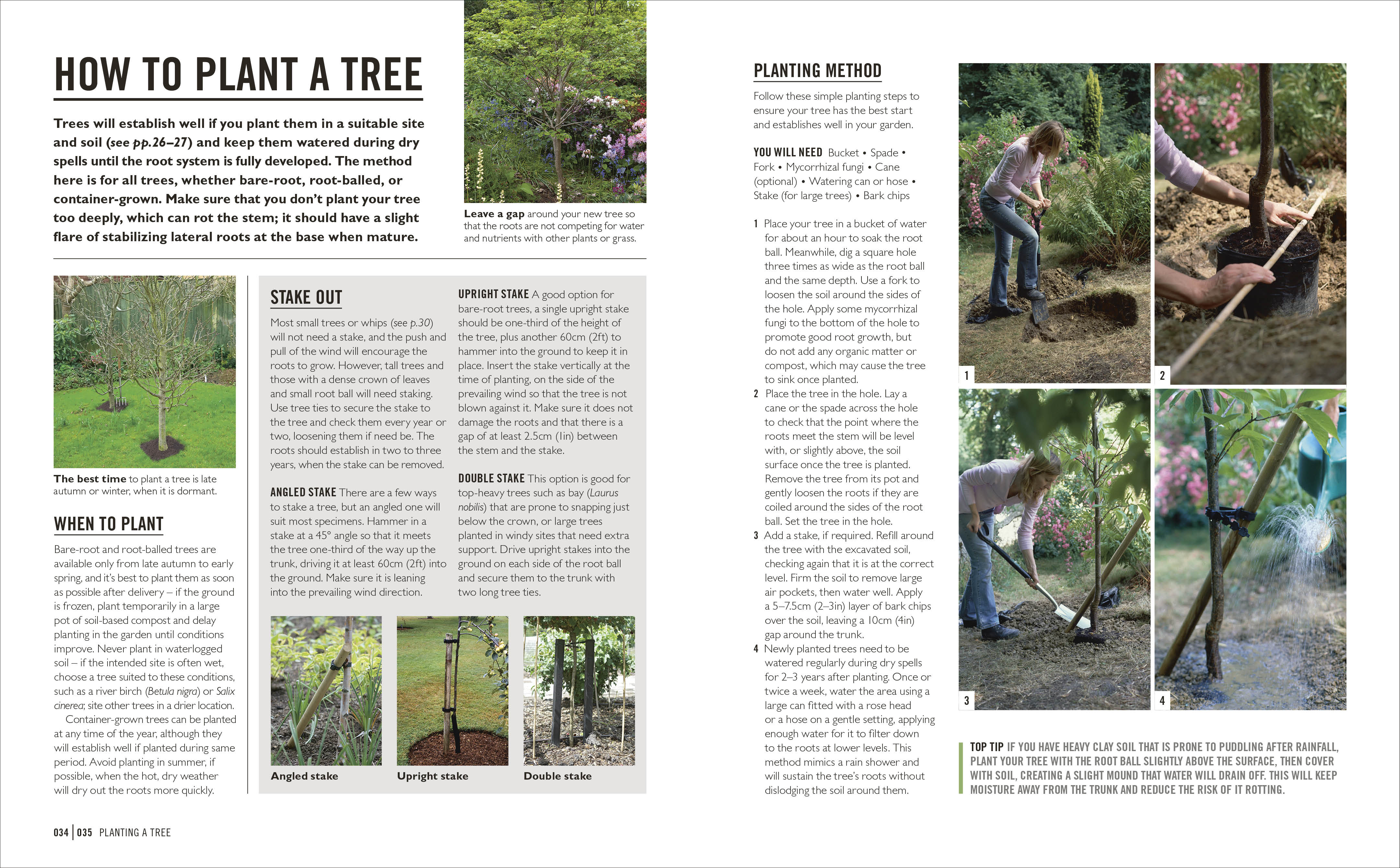 Grow Trees - Image 10