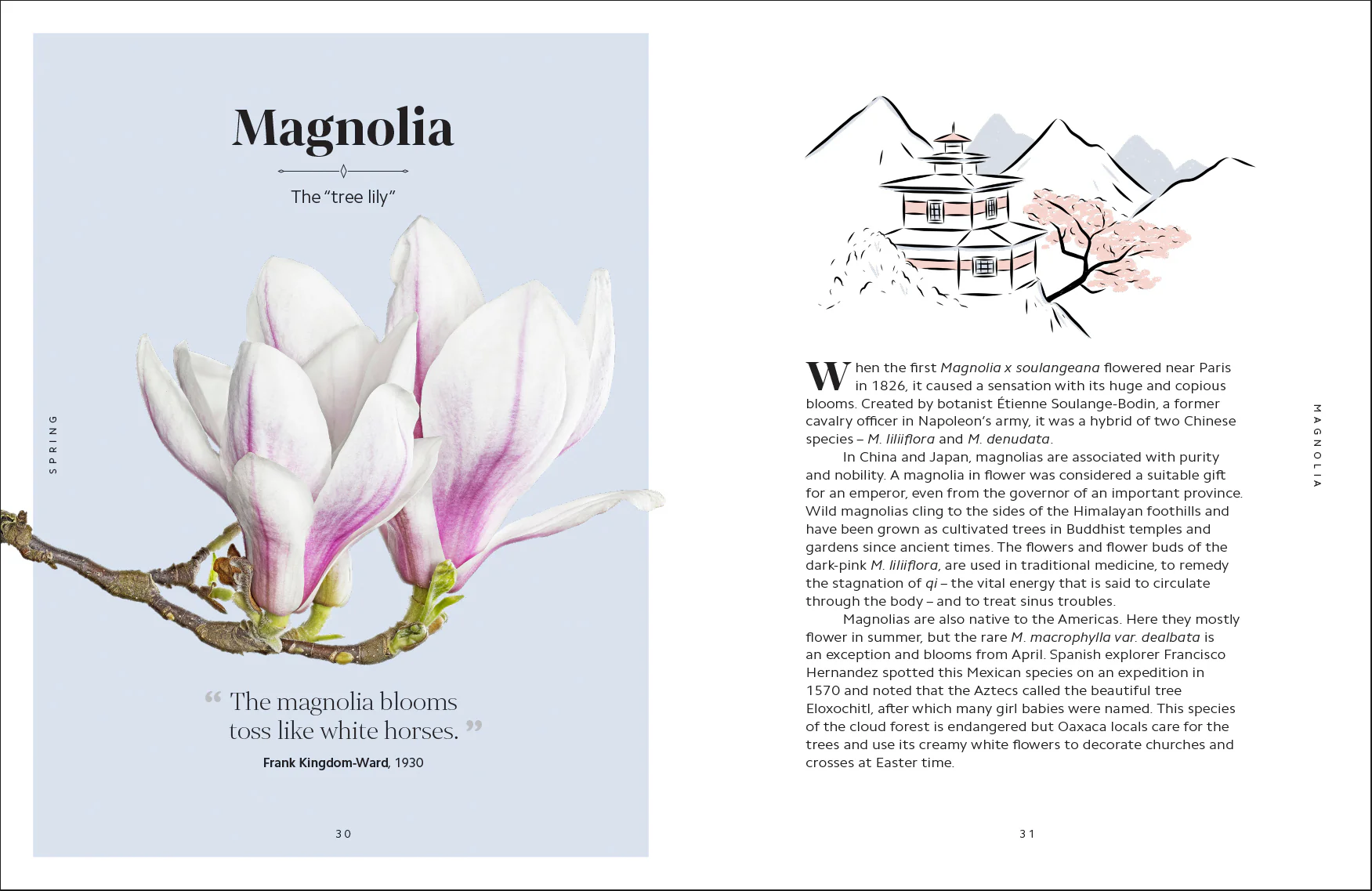 The Secret Language of Flowers - Image 10