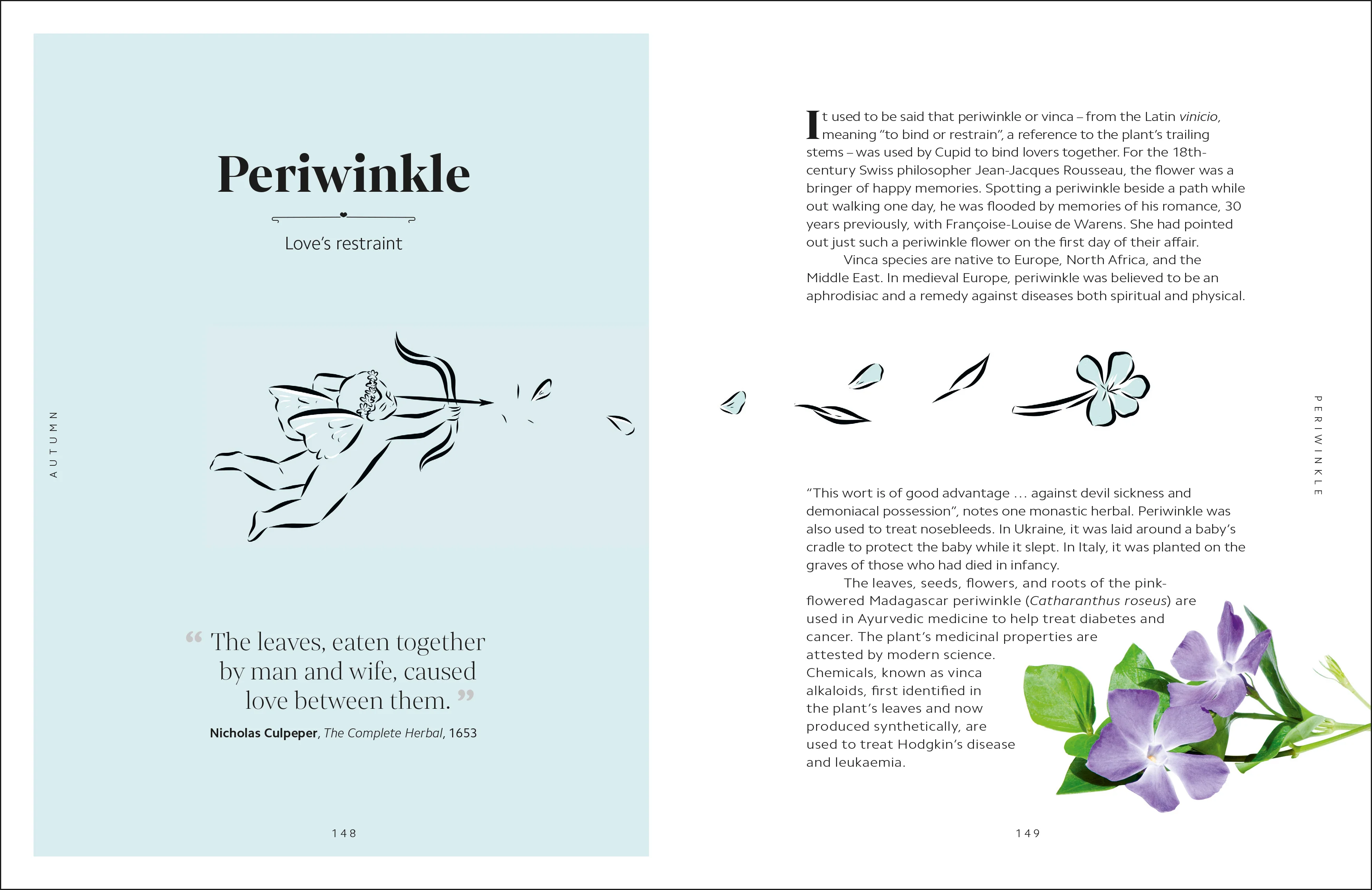 The Secret Language of Flowers - Image 13