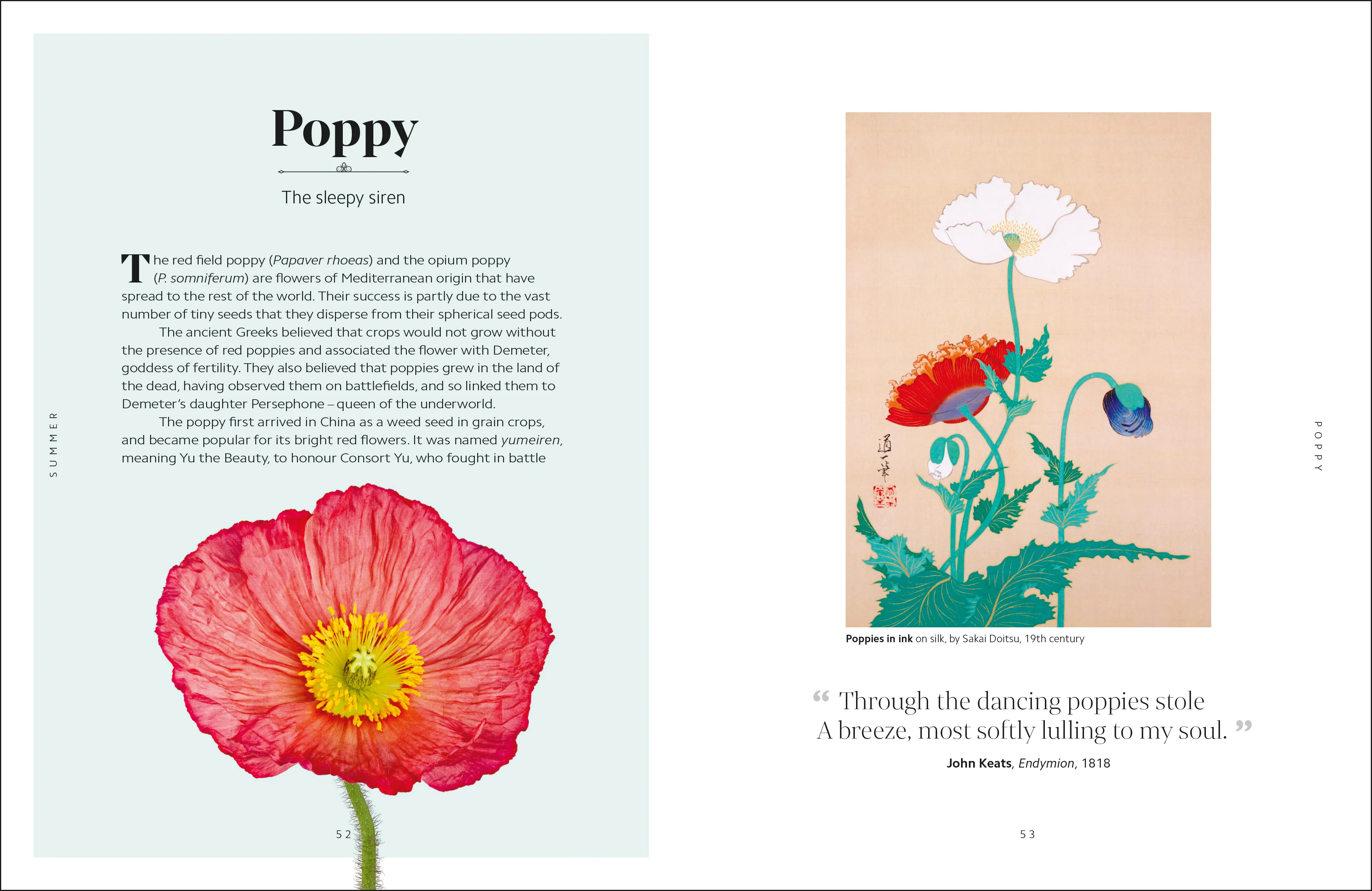 The Secret Language of Flowers - Image 6