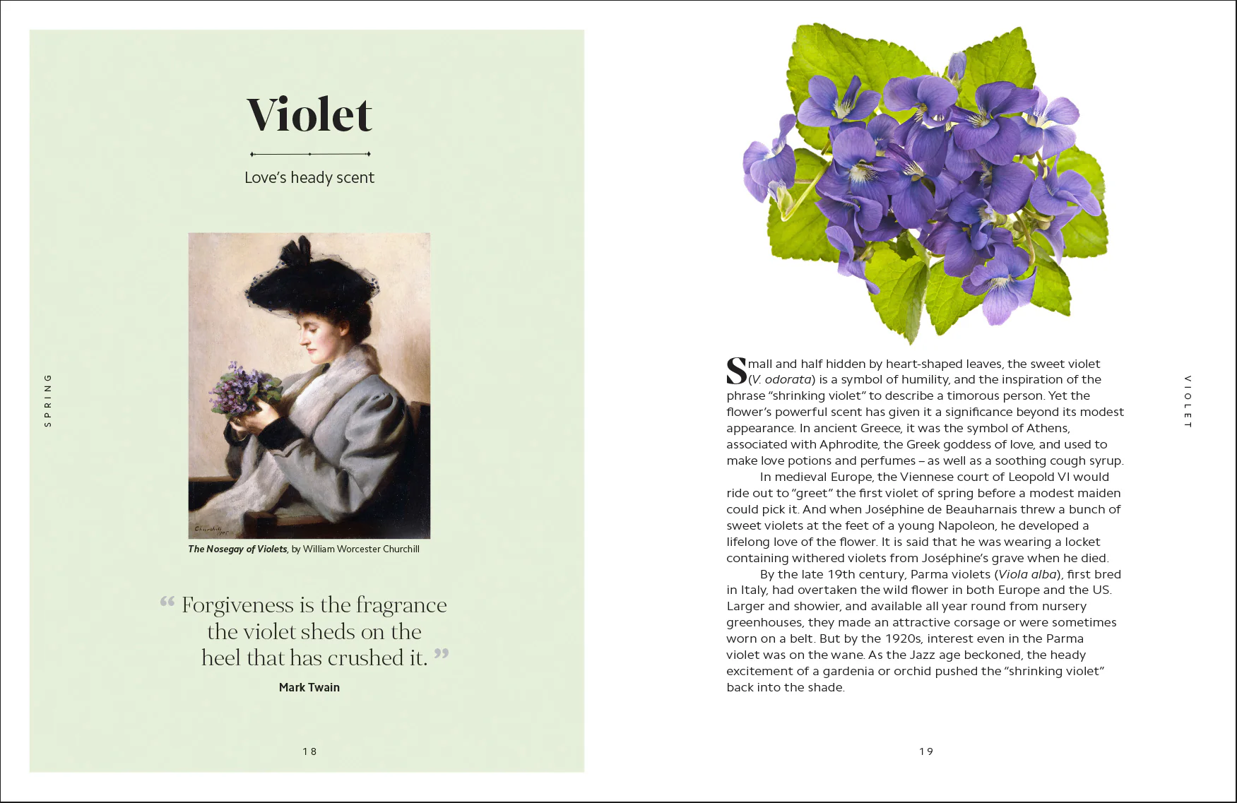 The Secret Language of Flowers - Image 8