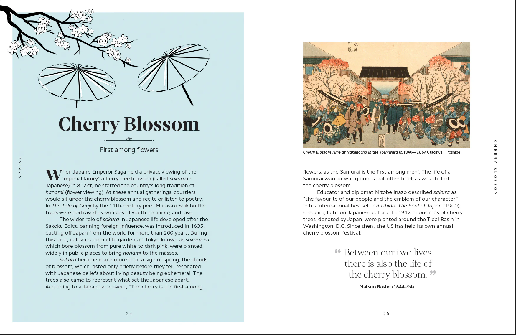 The Secret Language of Flowers - Image 9