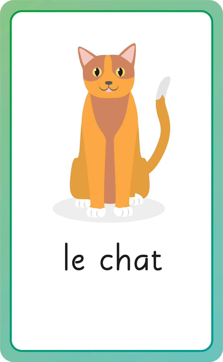 French for Everyone Junior First Words Flash Cards - Image 12