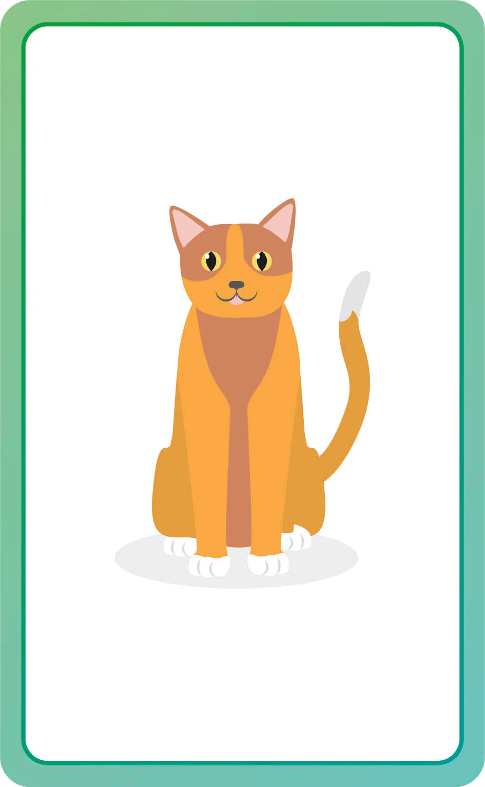 French for Everyone Junior First Words Flash Cards - Image 13