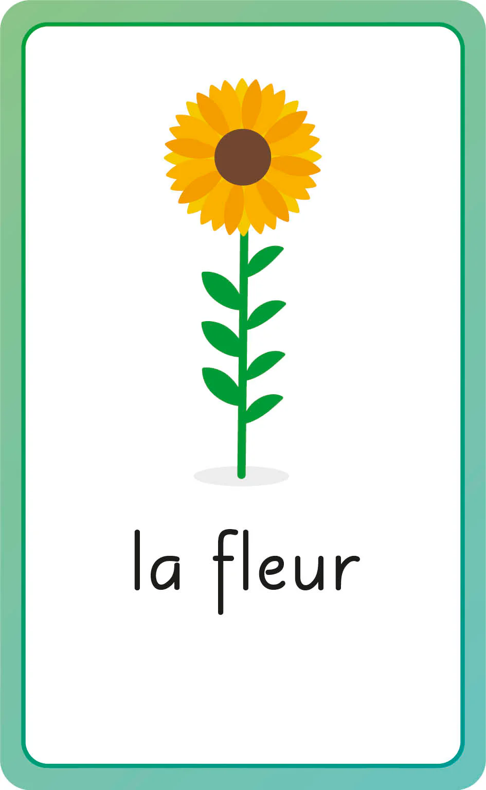 French for Everyone Junior First Words Flash Cards - Image 4