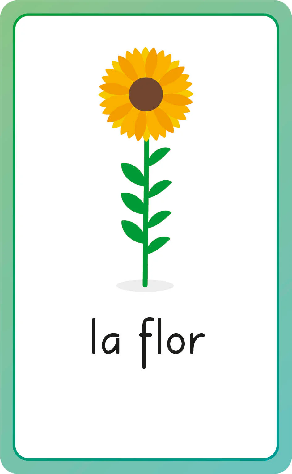 Spanish for Everyone Junior First Words Flash Cards - Image 4