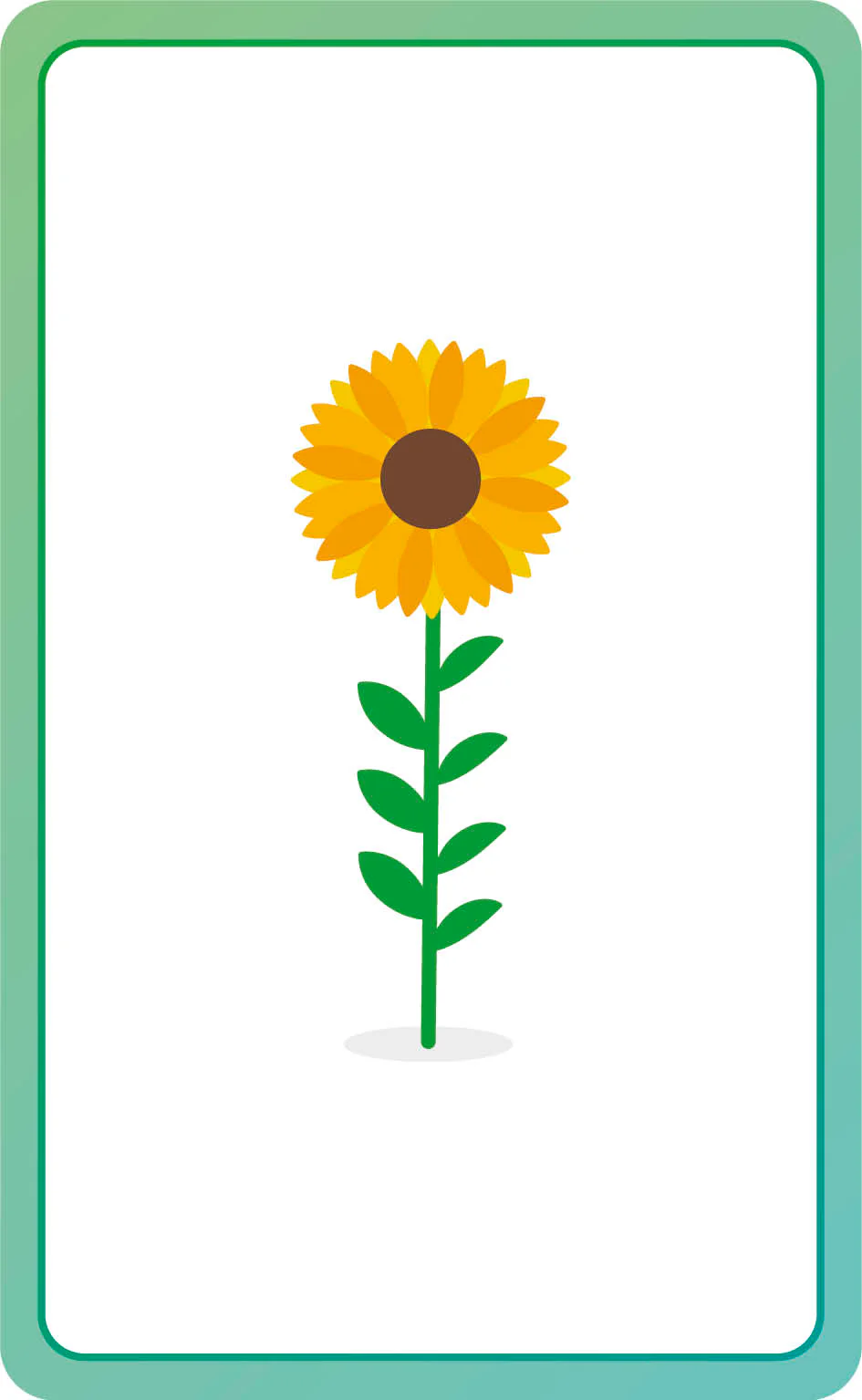 Spanish for Everyone Junior First Words Flash Cards - Image 5
