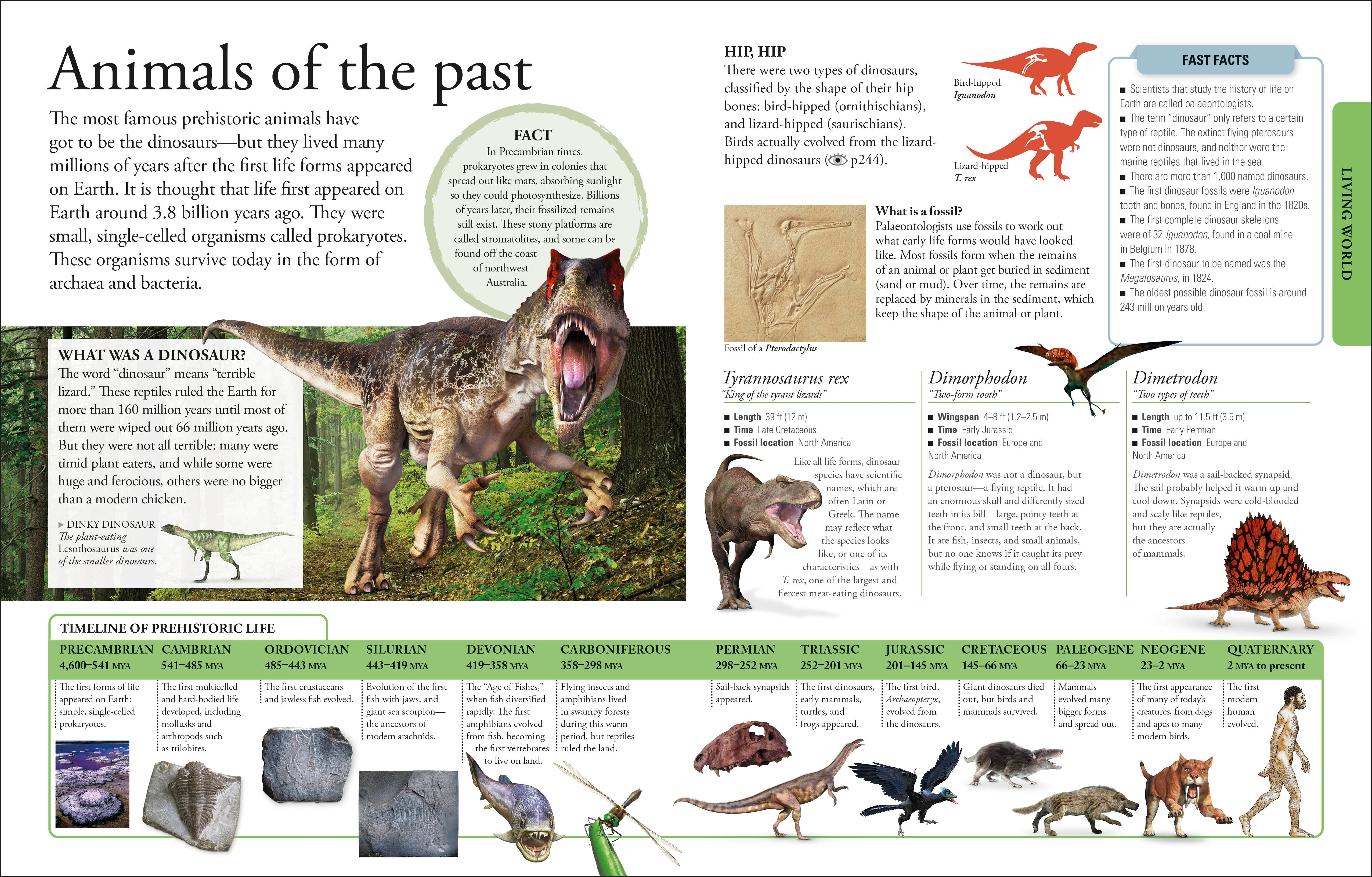 The New Children's Encyclopedia - Image 4