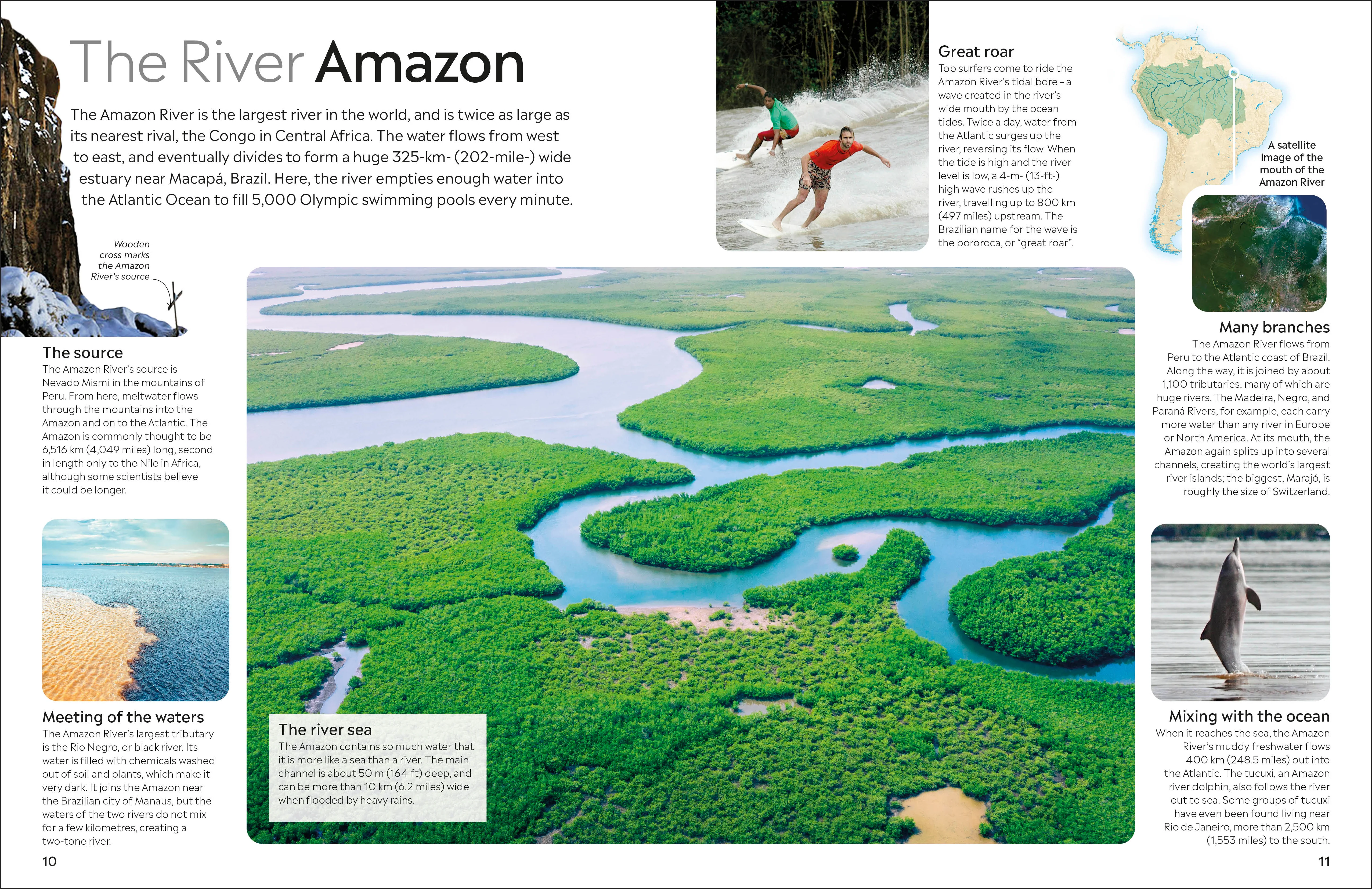 Amazon - Image 6