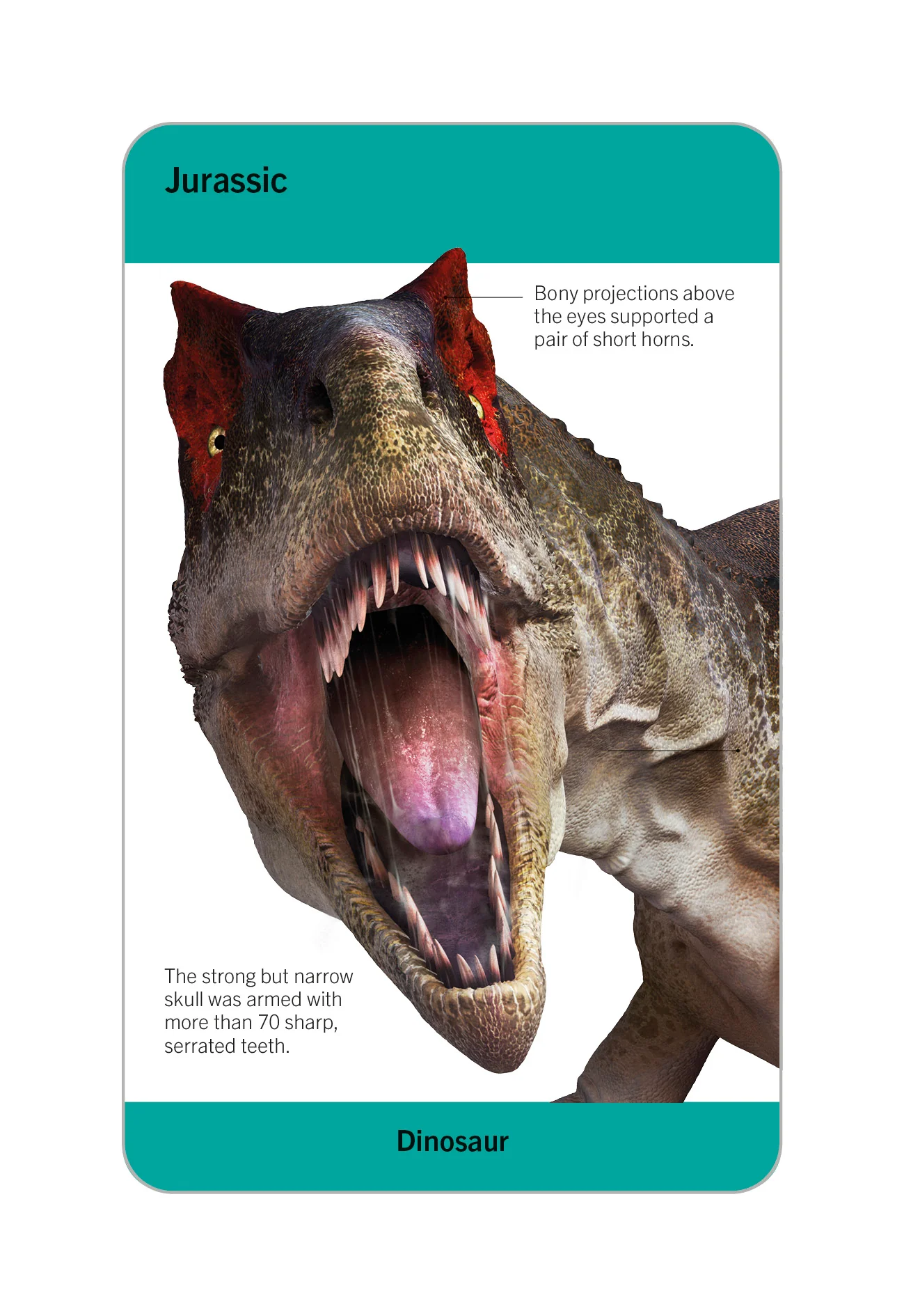 Our World in Pictures Dinosaurs and Other Prehistoric Creatures Flash Cards - Image 12