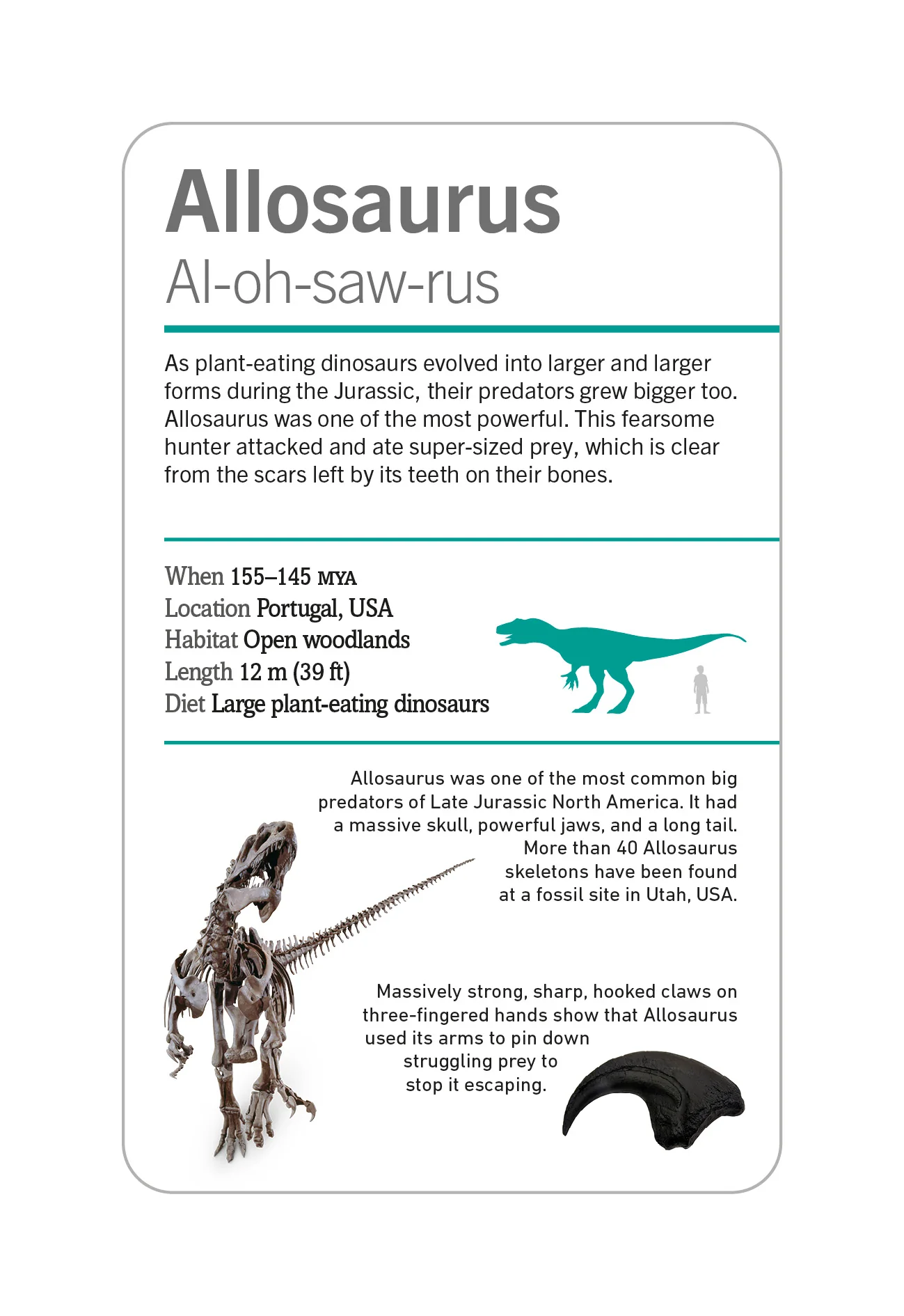 Our World in Pictures Dinosaurs and Other Prehistoric Creatures Flash Cards - Image 5