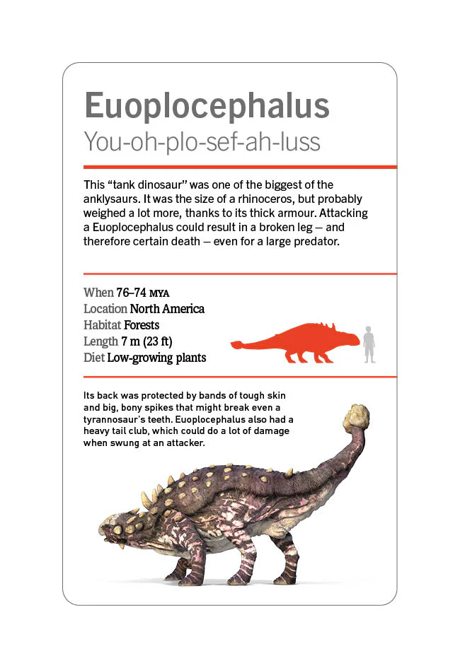 Our World in Pictures Dinosaurs and Other Prehistoric Creatures Flash Cards - Image 9