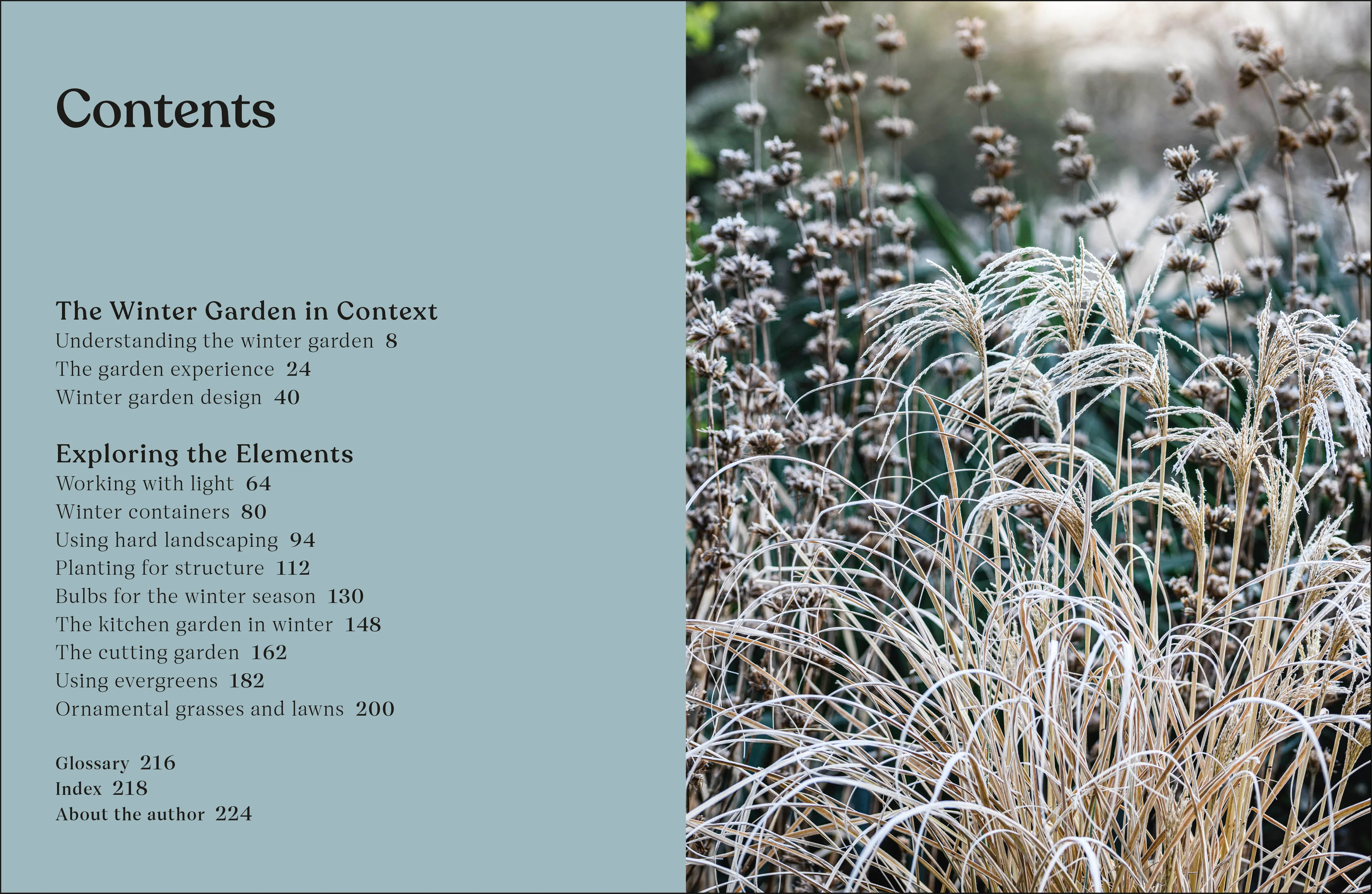 The Winter Garden - Image 2