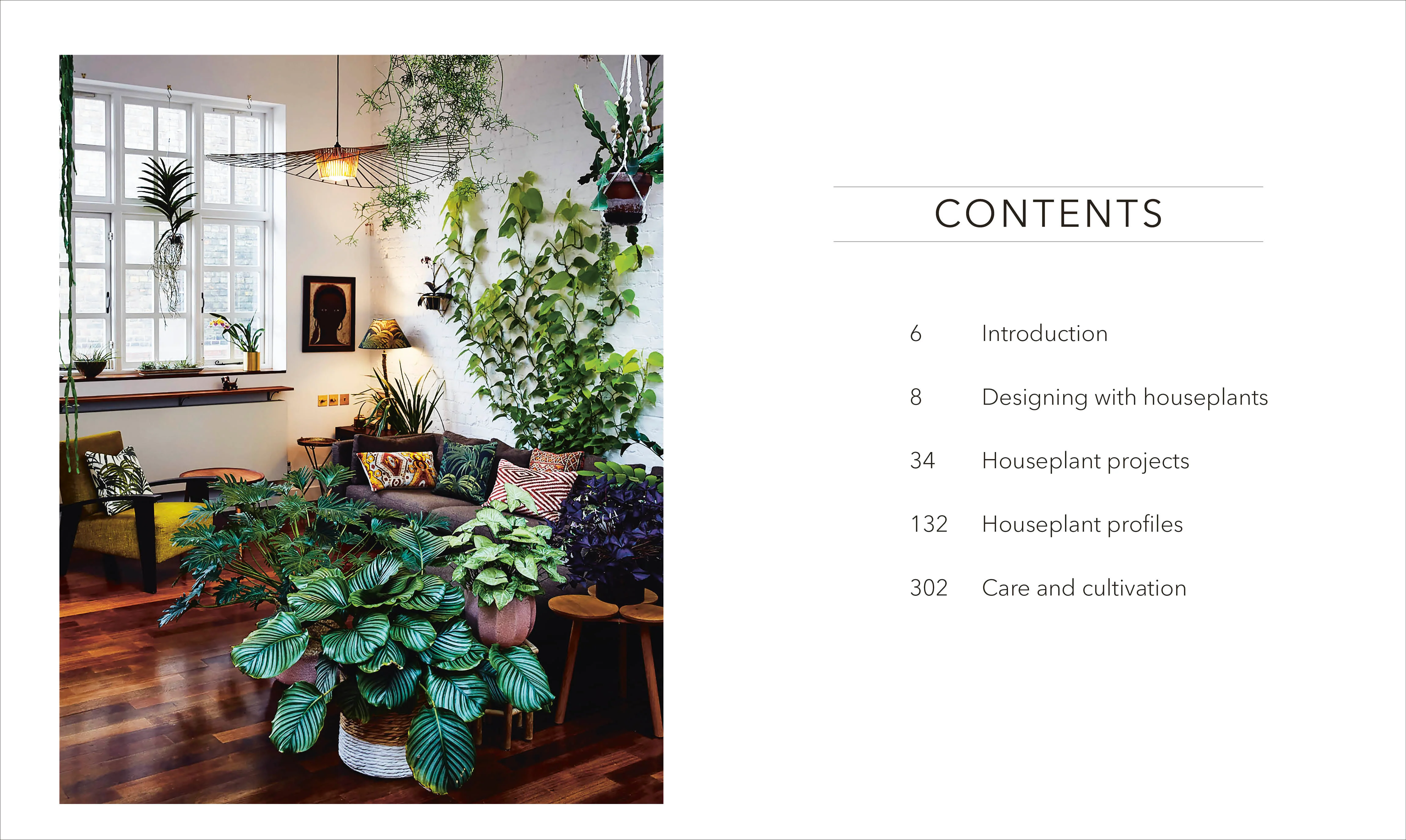 Houseplant - Image 2