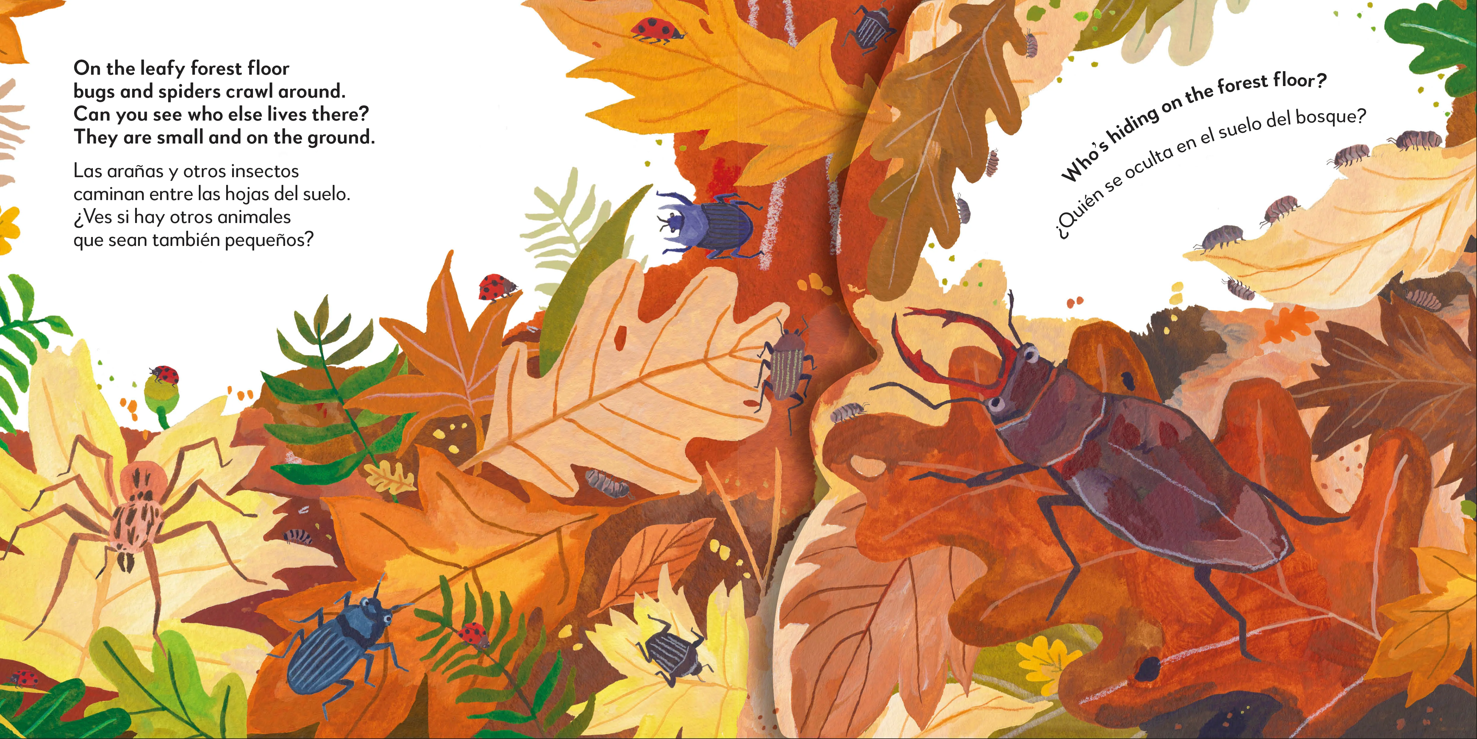 Bilingual Pop-Up Peekaboo! Forest - El bosque - Image 4