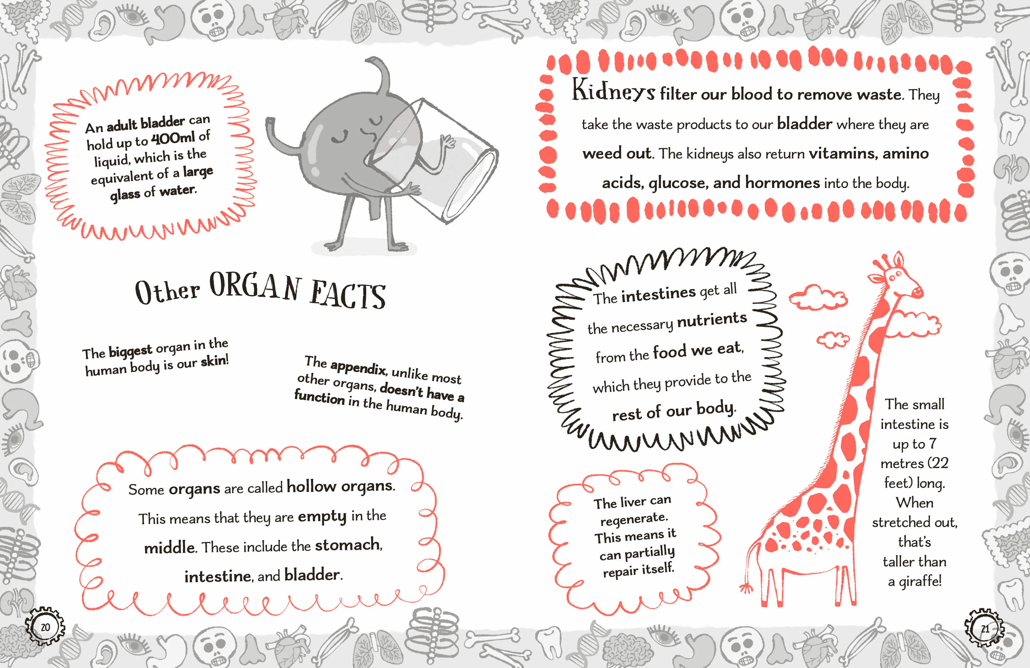 Radzi's Incredible Facts - Image 8