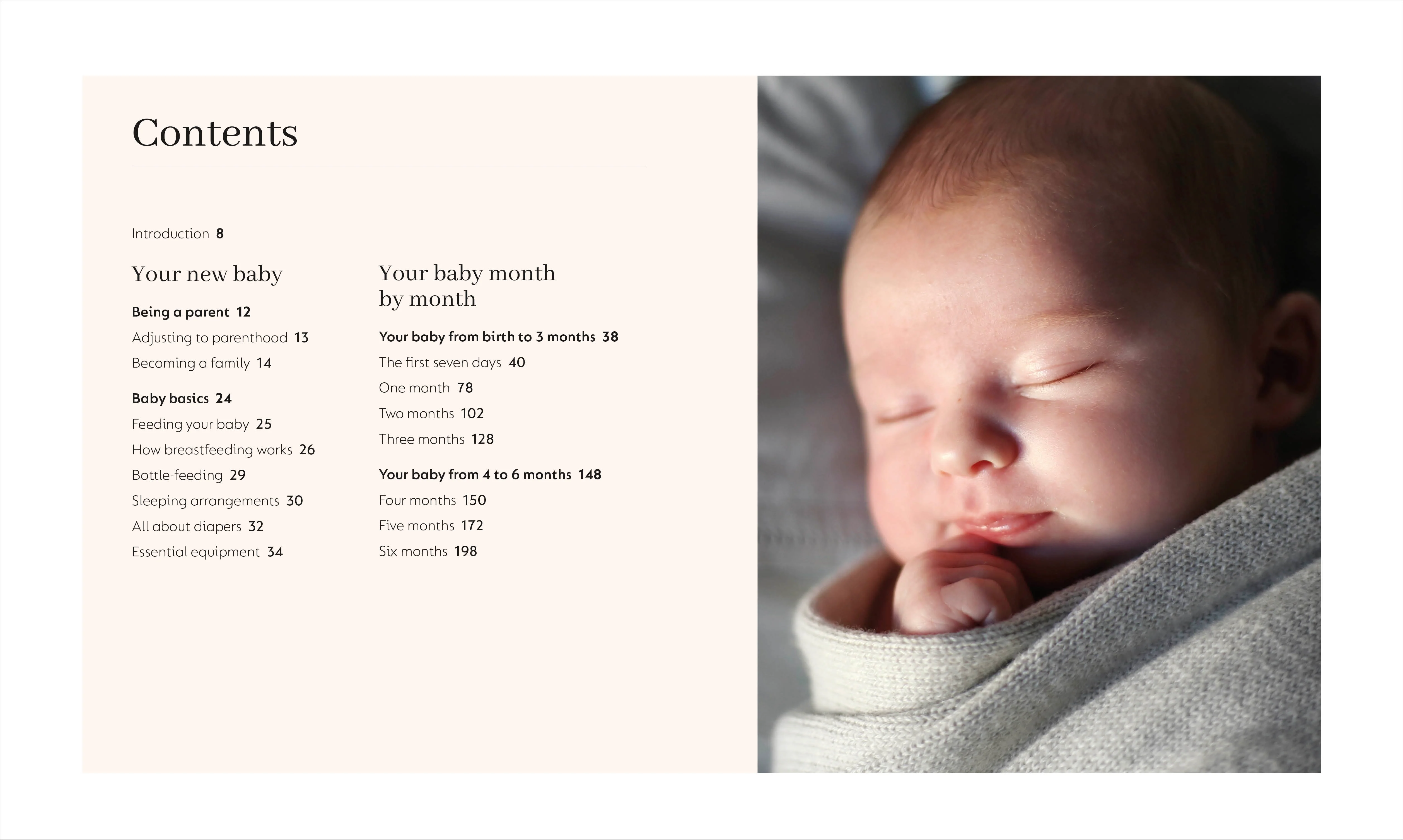 The Month-by-Month Baby Book - Image 2