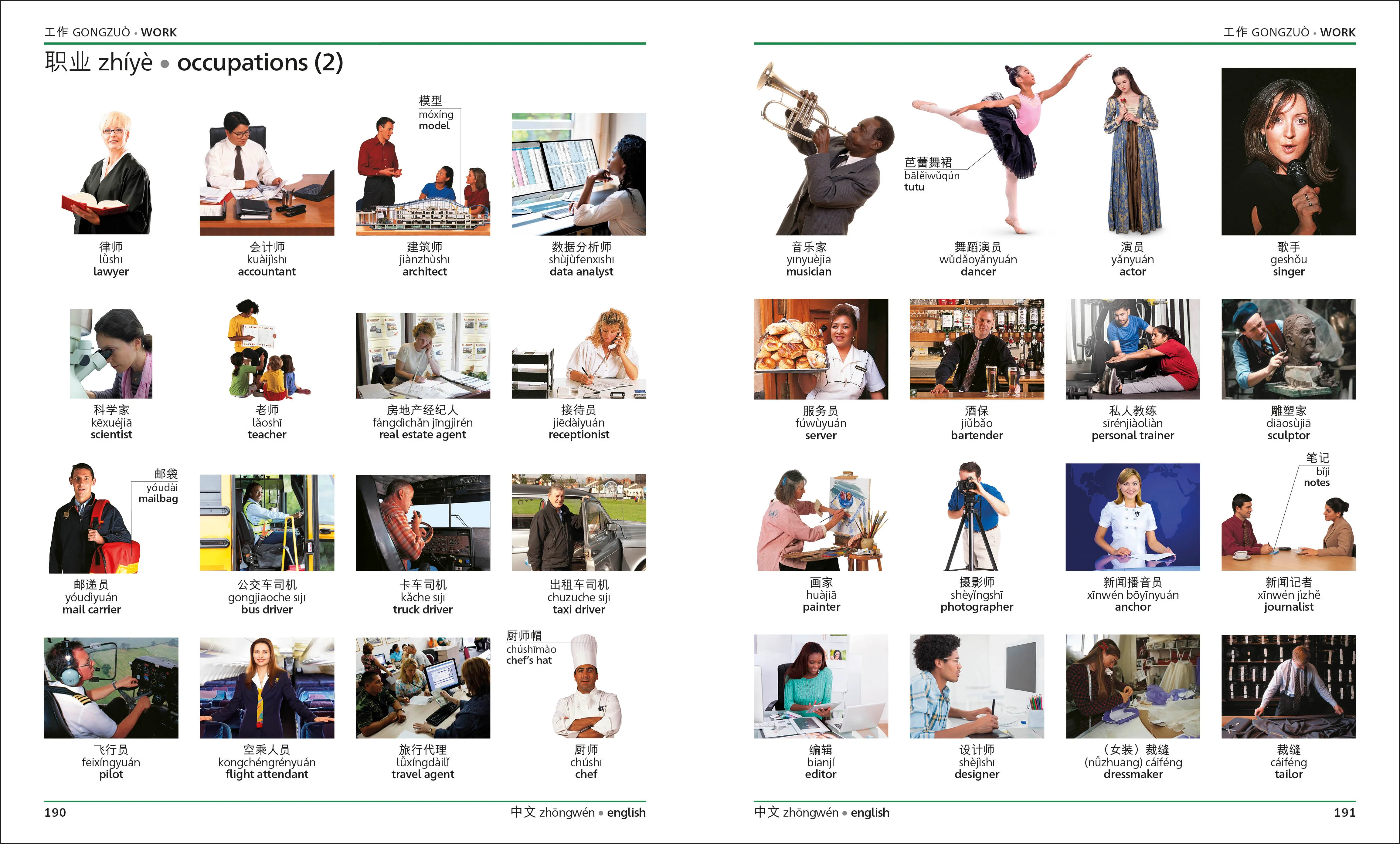Mandarin Chinese English Bilingual Visual Dictionary - Image 5