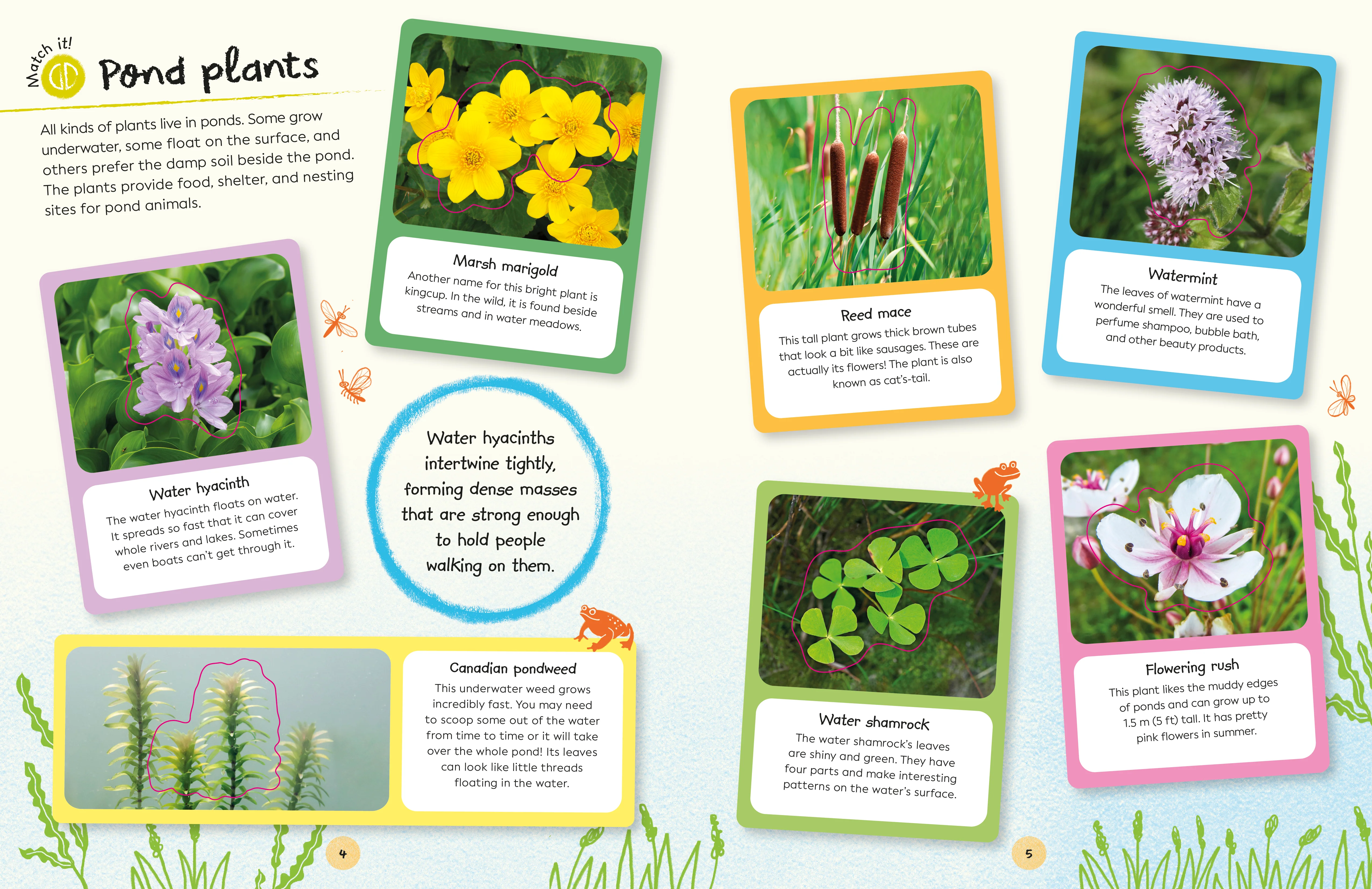 Ultimate Sticker Book Garden Pond - Image 2