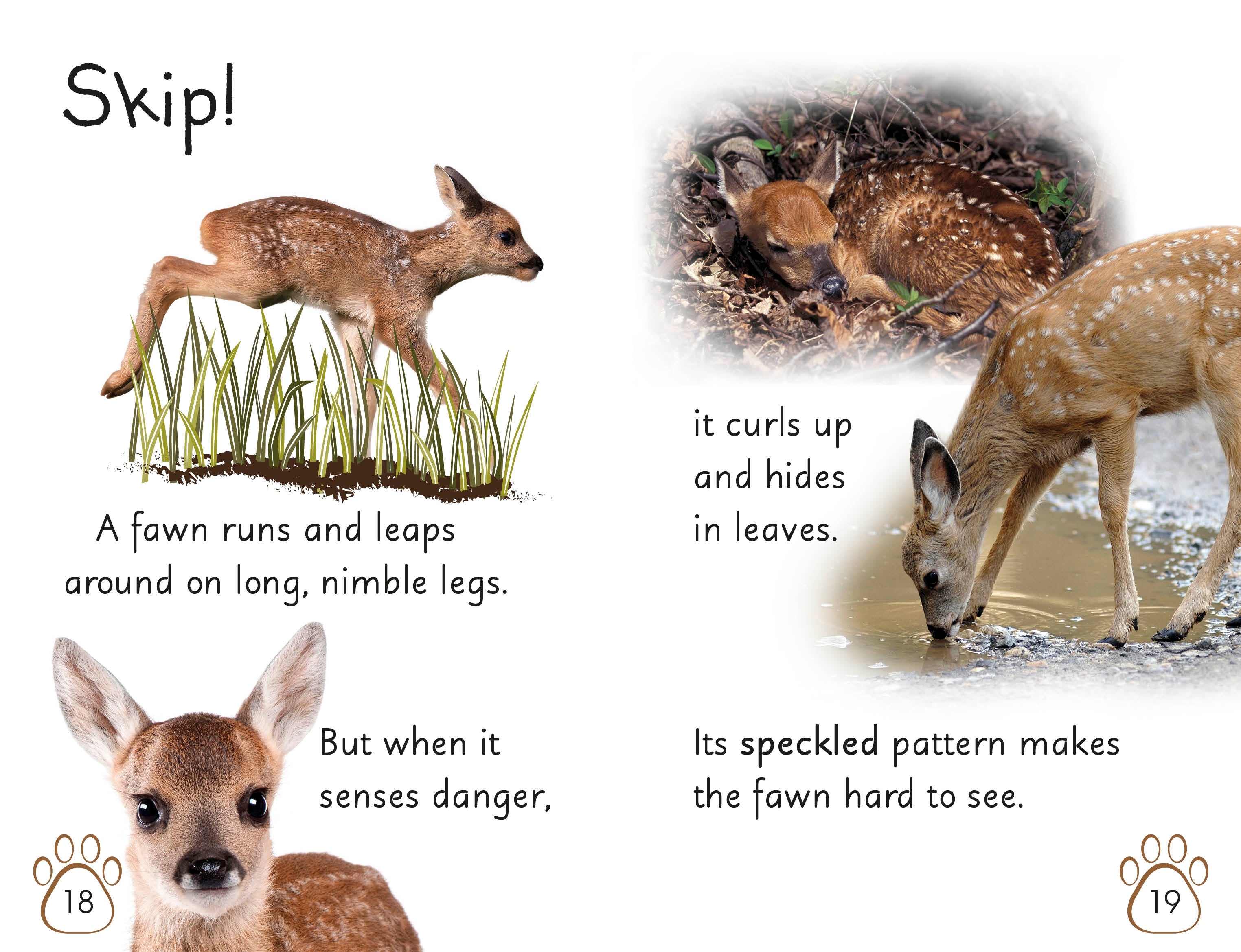 DK Readers L2: Wild Baby Animals - Image 2