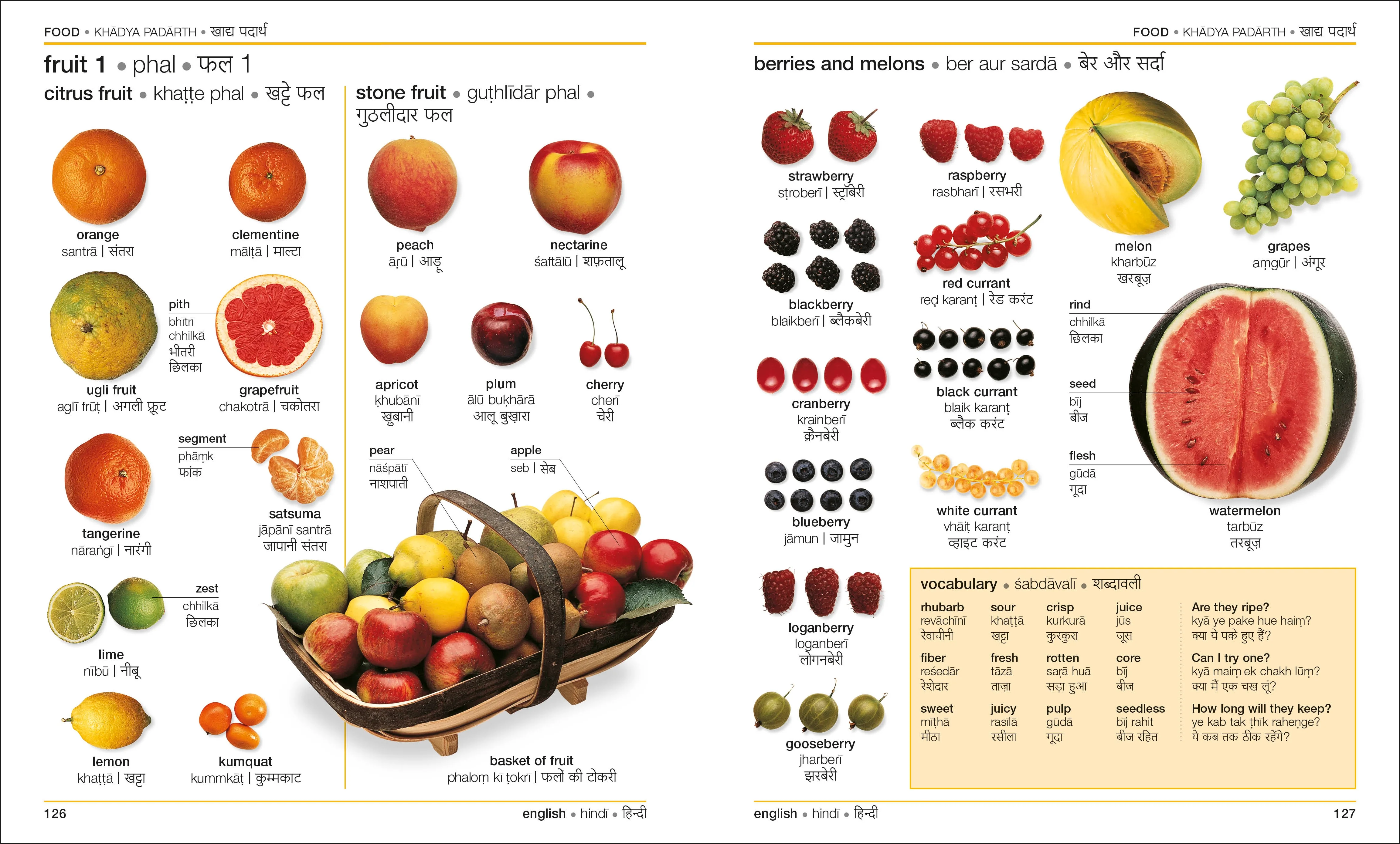 Hindi-English Bilingual Visual Dictionary with Free Audio App - Image 5