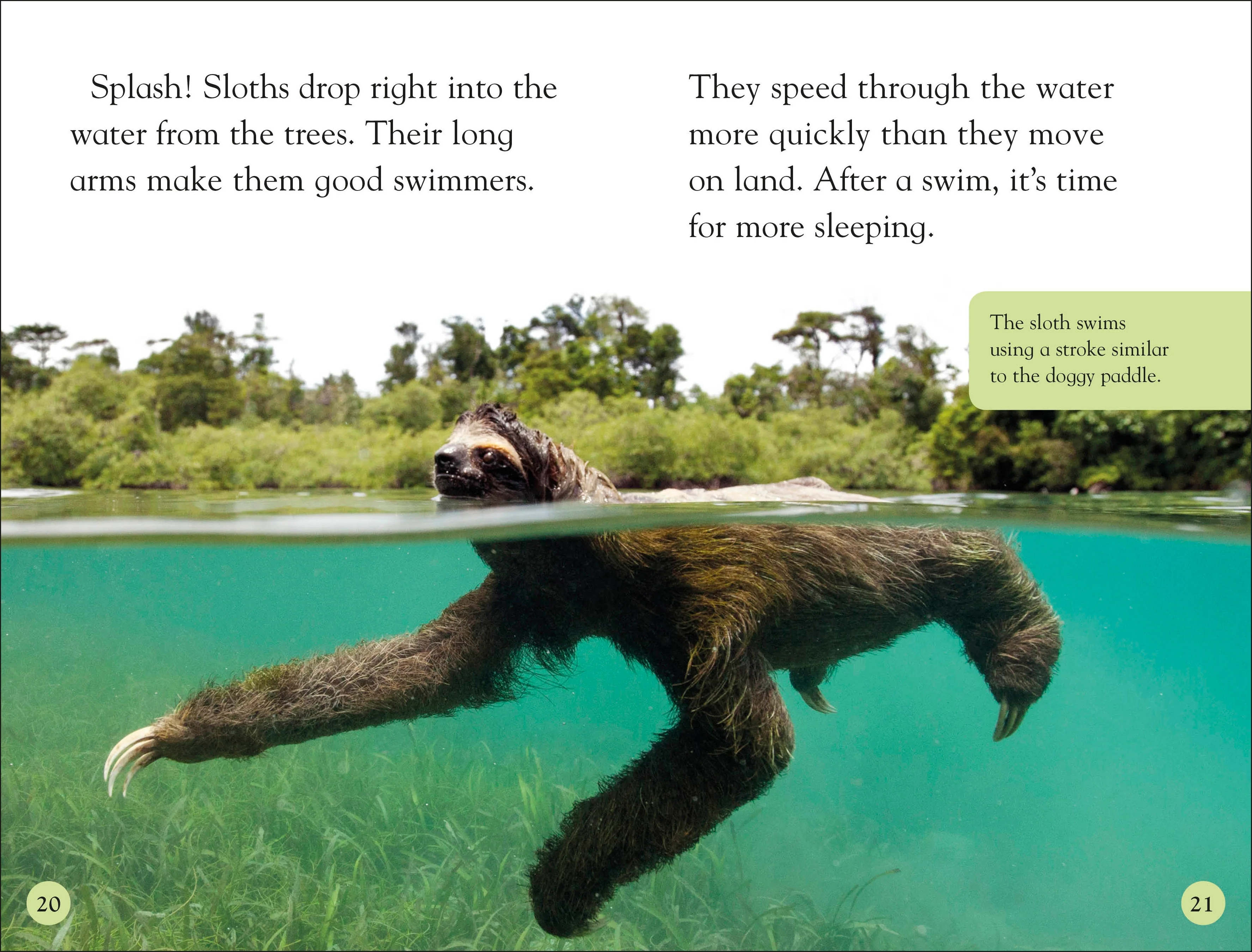 DK Readers Level 2: Sloths - Image 4