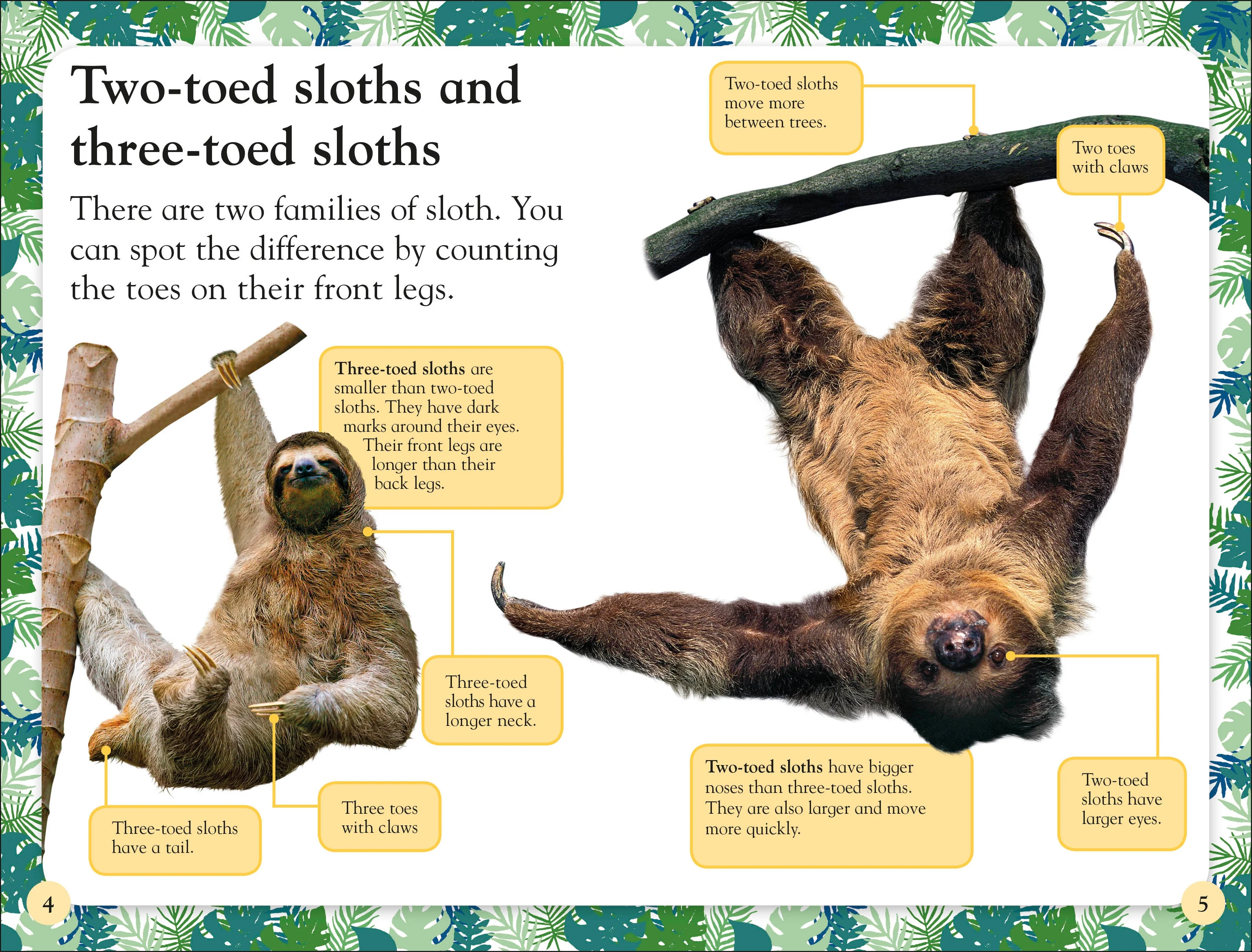 DK Readers Level 2: Sloths - Image 6