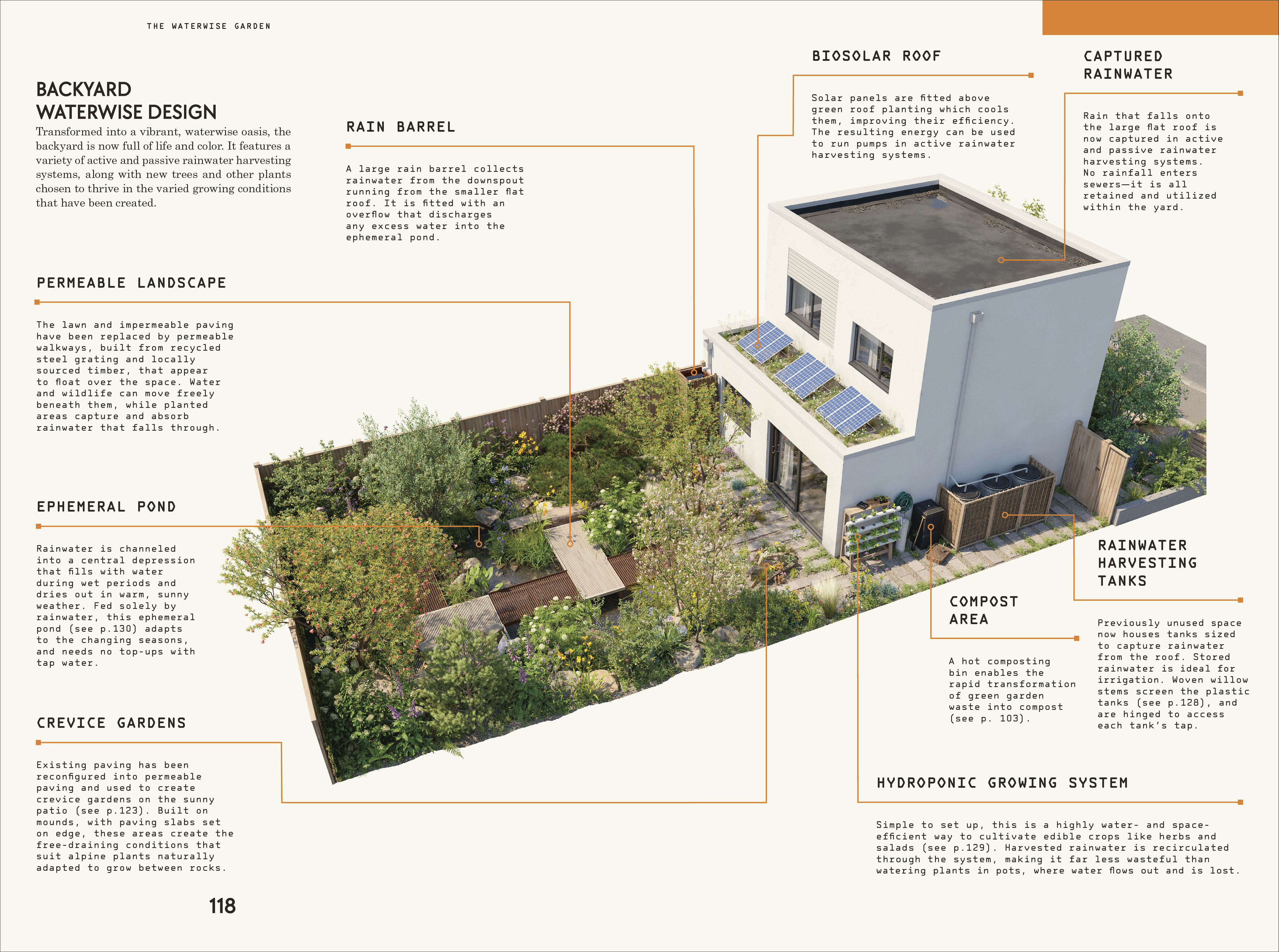 Waterwise Garden - Image 6