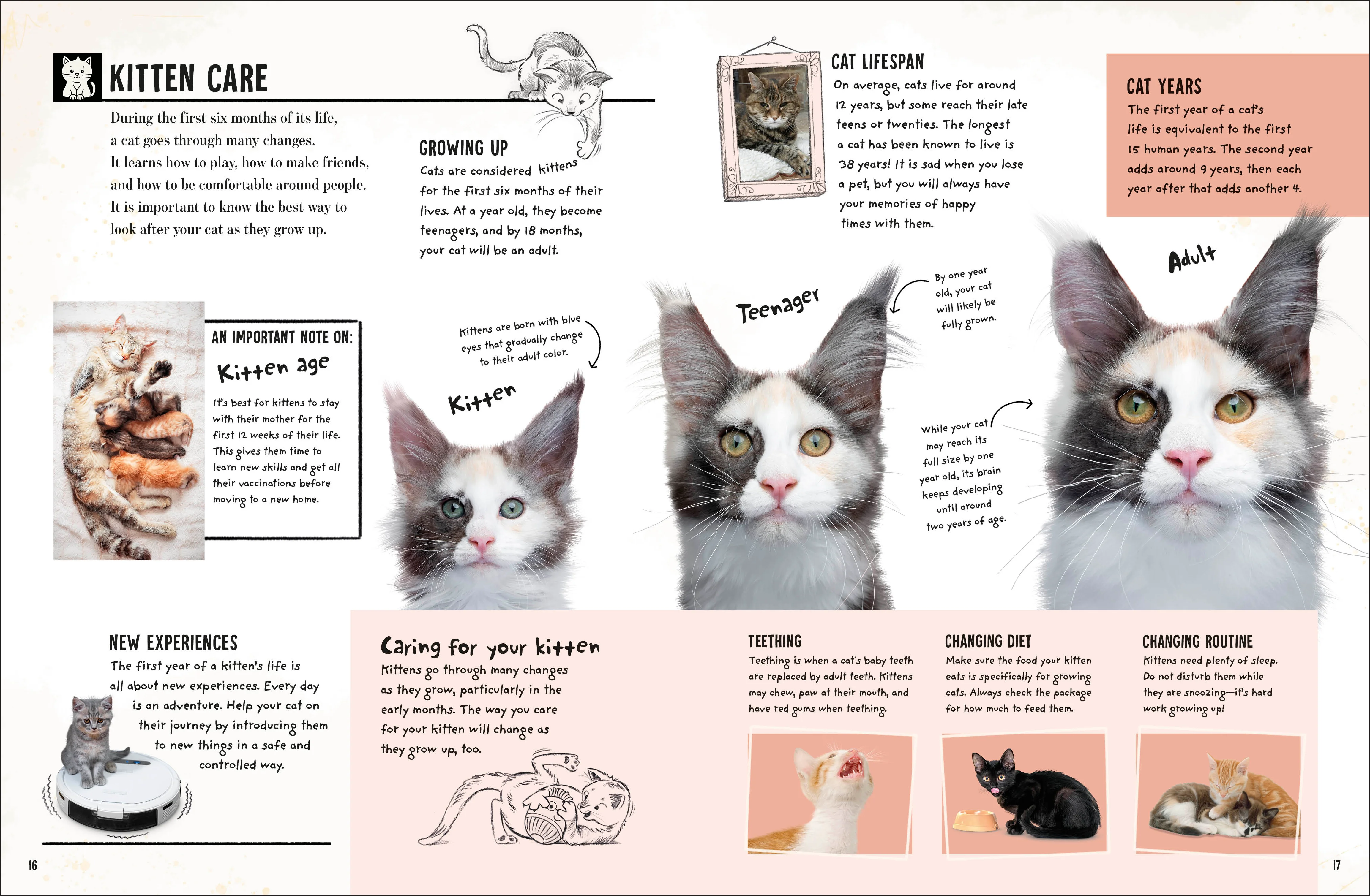 My Cat - Image 7