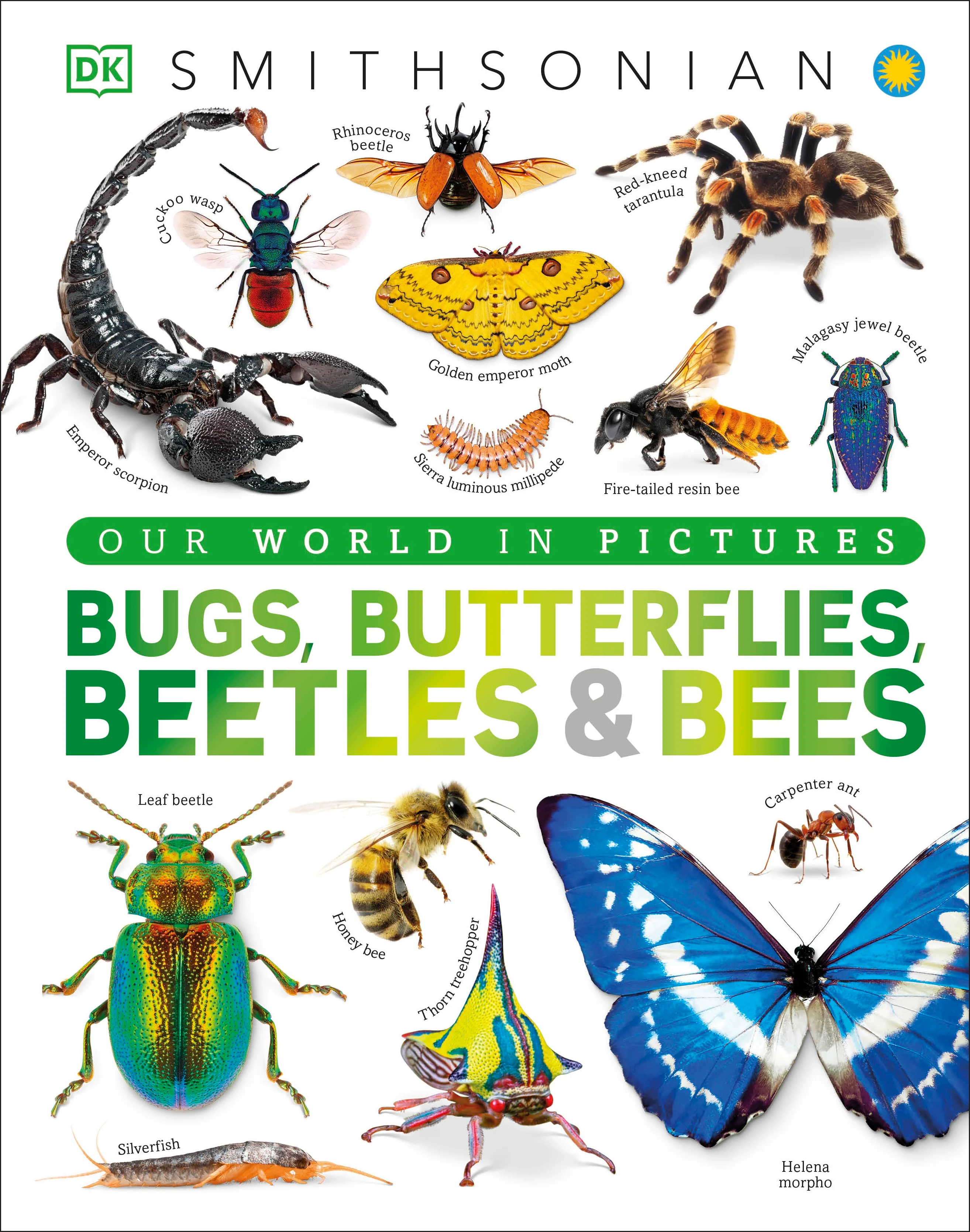 Bugs, Butterflies, Beetles and Bees