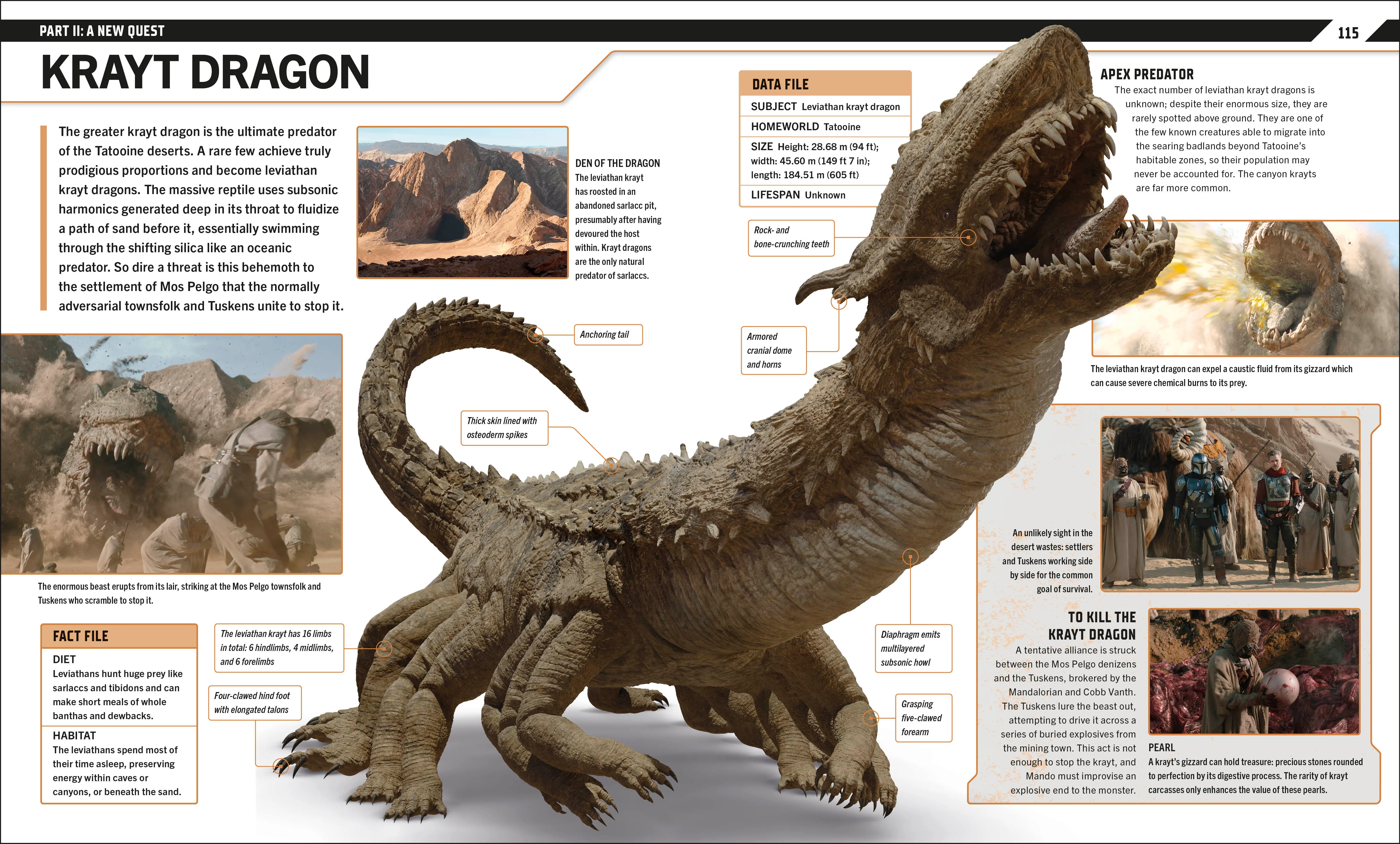 Star Wars The Mandalorian Visual Guide - Image 4